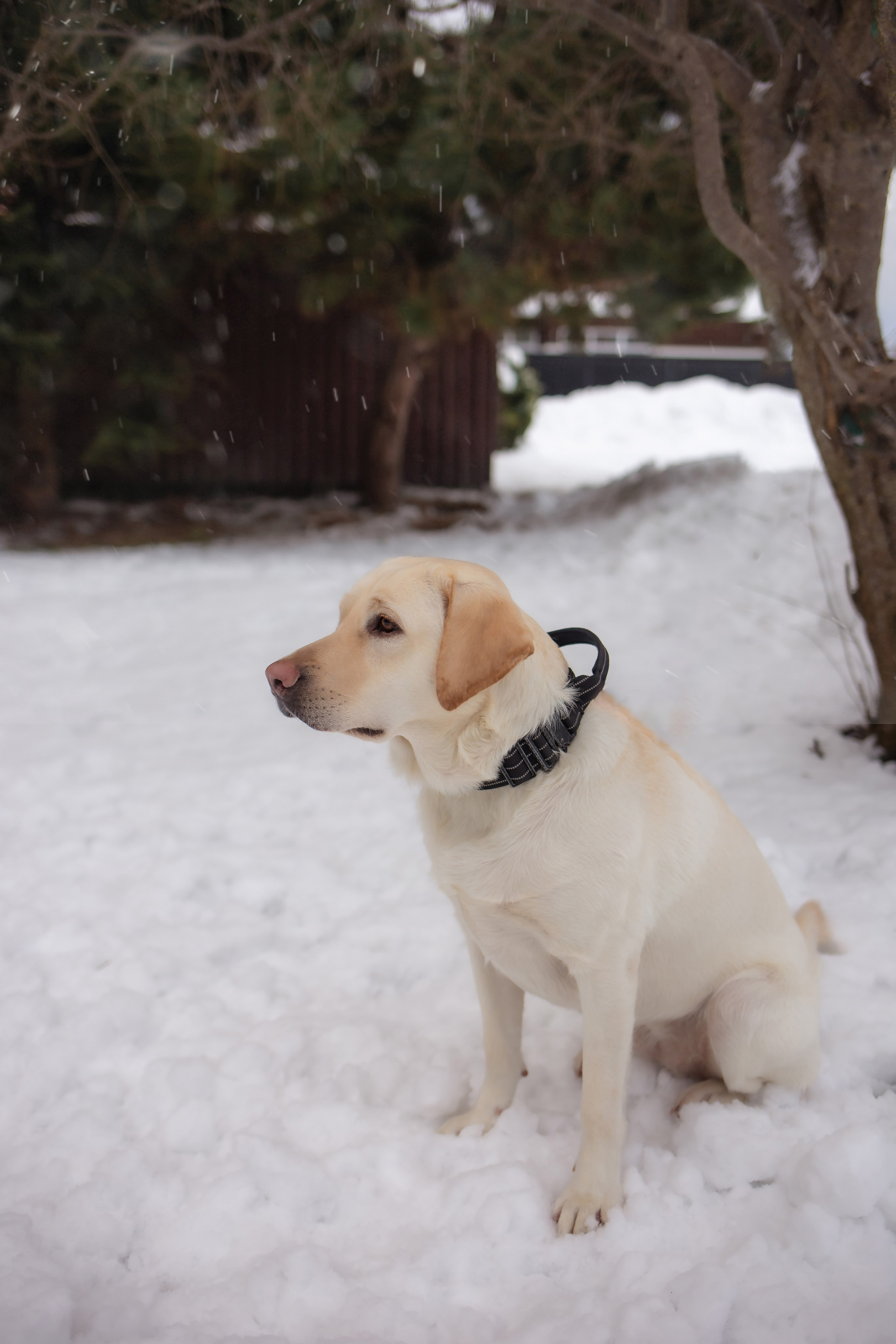 Луна и Катя. Фотограф в Калининграде Решетникова Алина