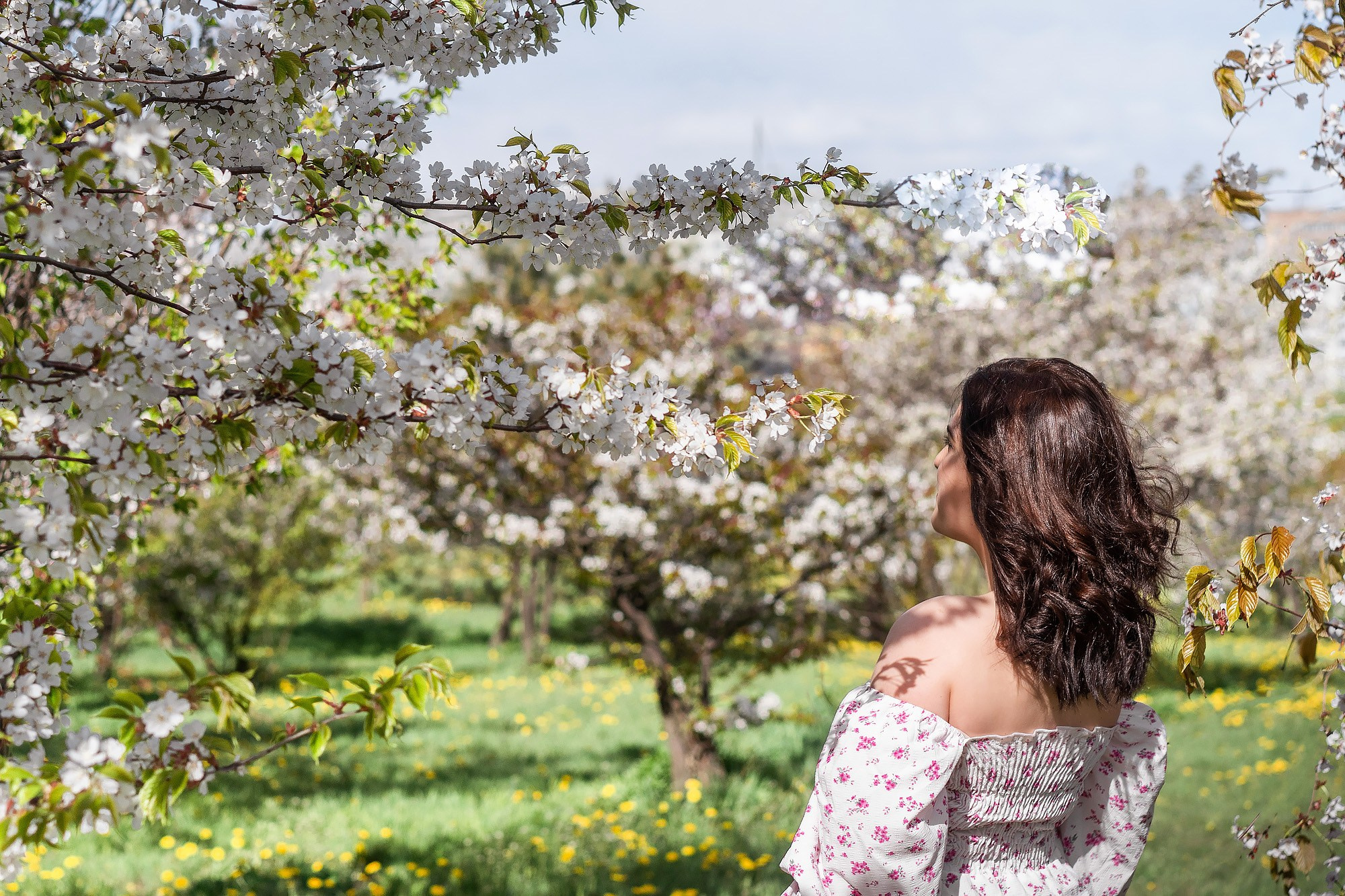 Цветочный пикник. Семейный и детский фотограф во Владивостоке Мария Гой
