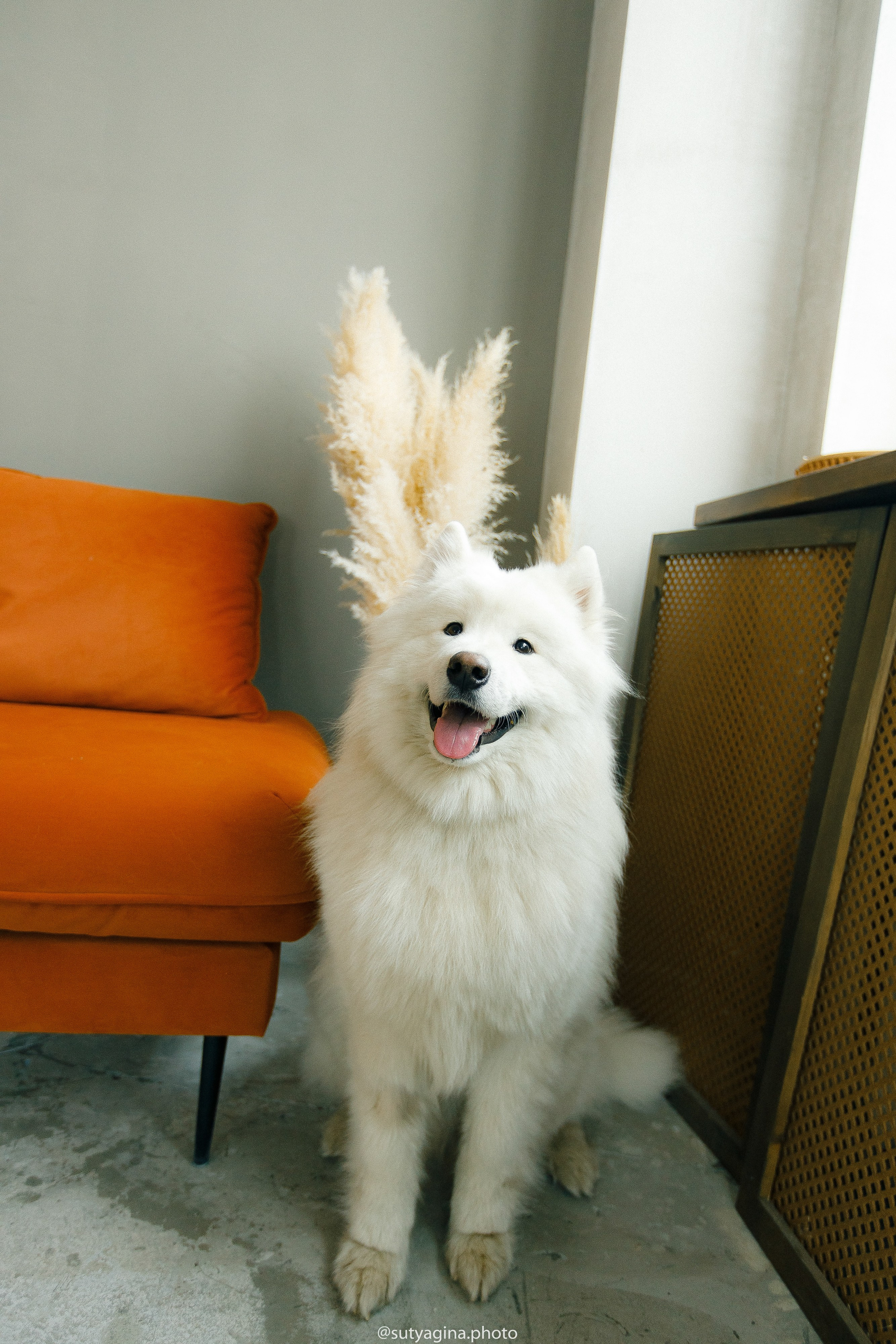 Самоед Мартин. Свадебный и женский фотограф