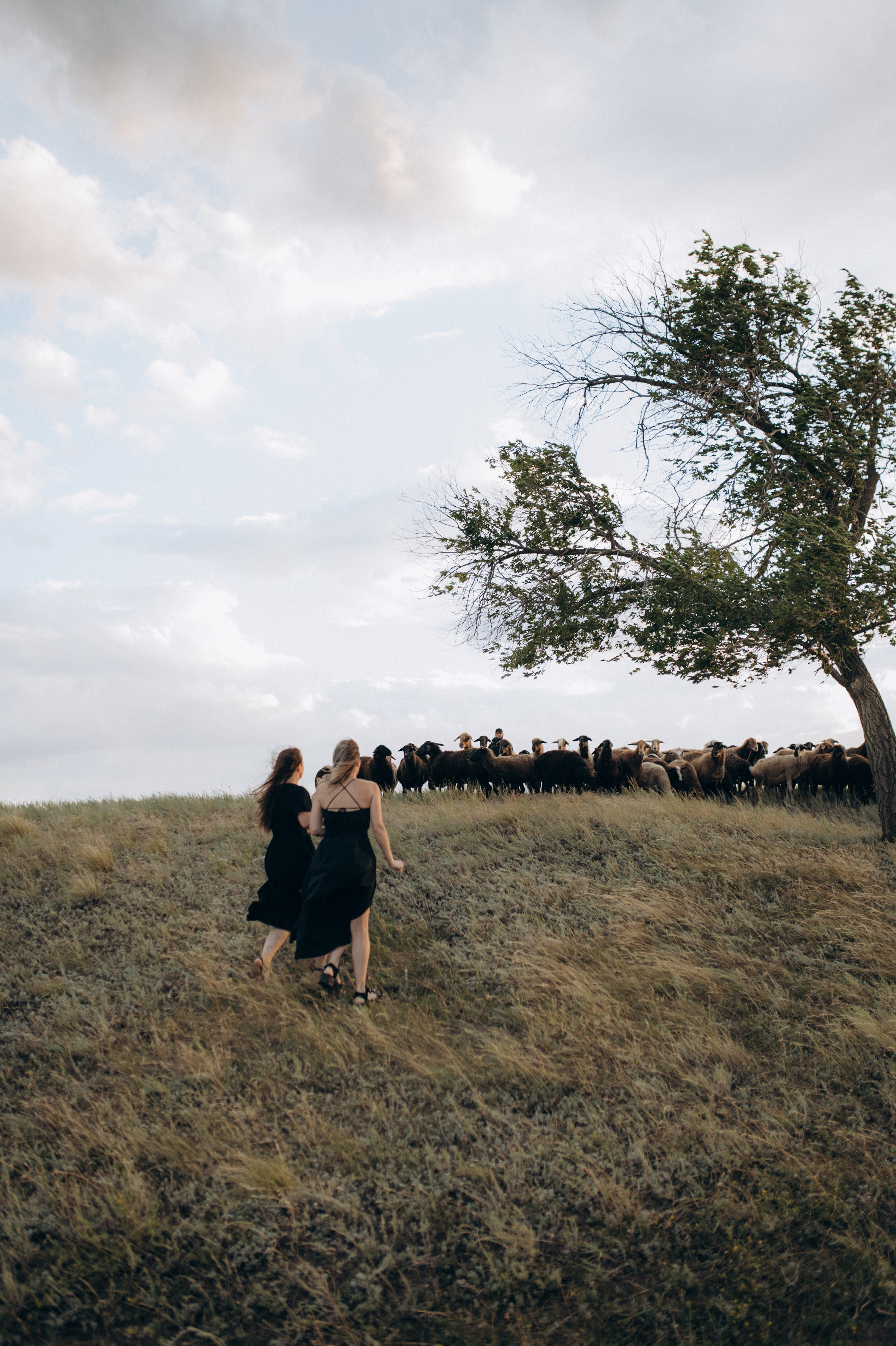 Наташа, Степа, Василиса, Лера. Www.ostermiller.ru