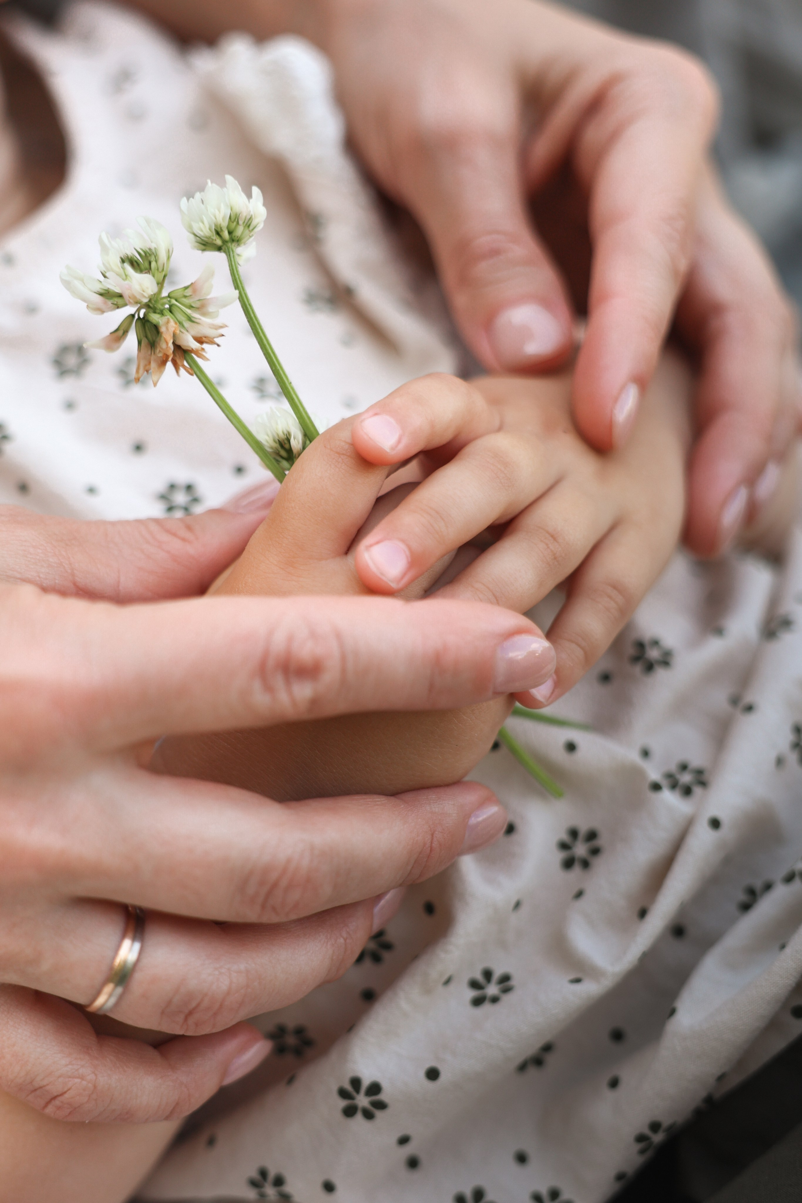 На полянке клевера. Ваш семейный newborn и lifestyle фотограф в СПБ Наталья Журавлева