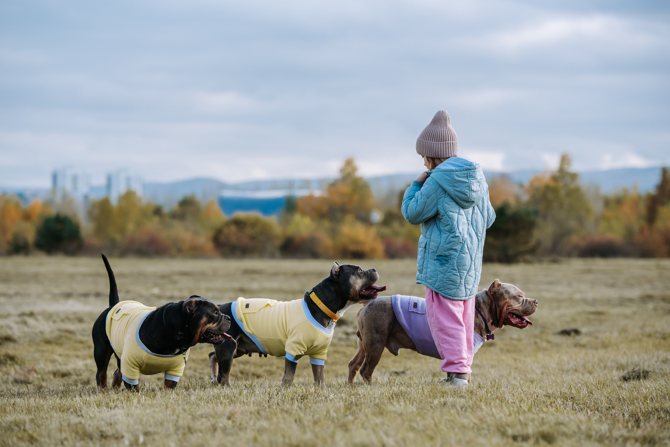 Фотопрогулка с питомцами. Фотограф Диана Оленина Красноярск / Братск