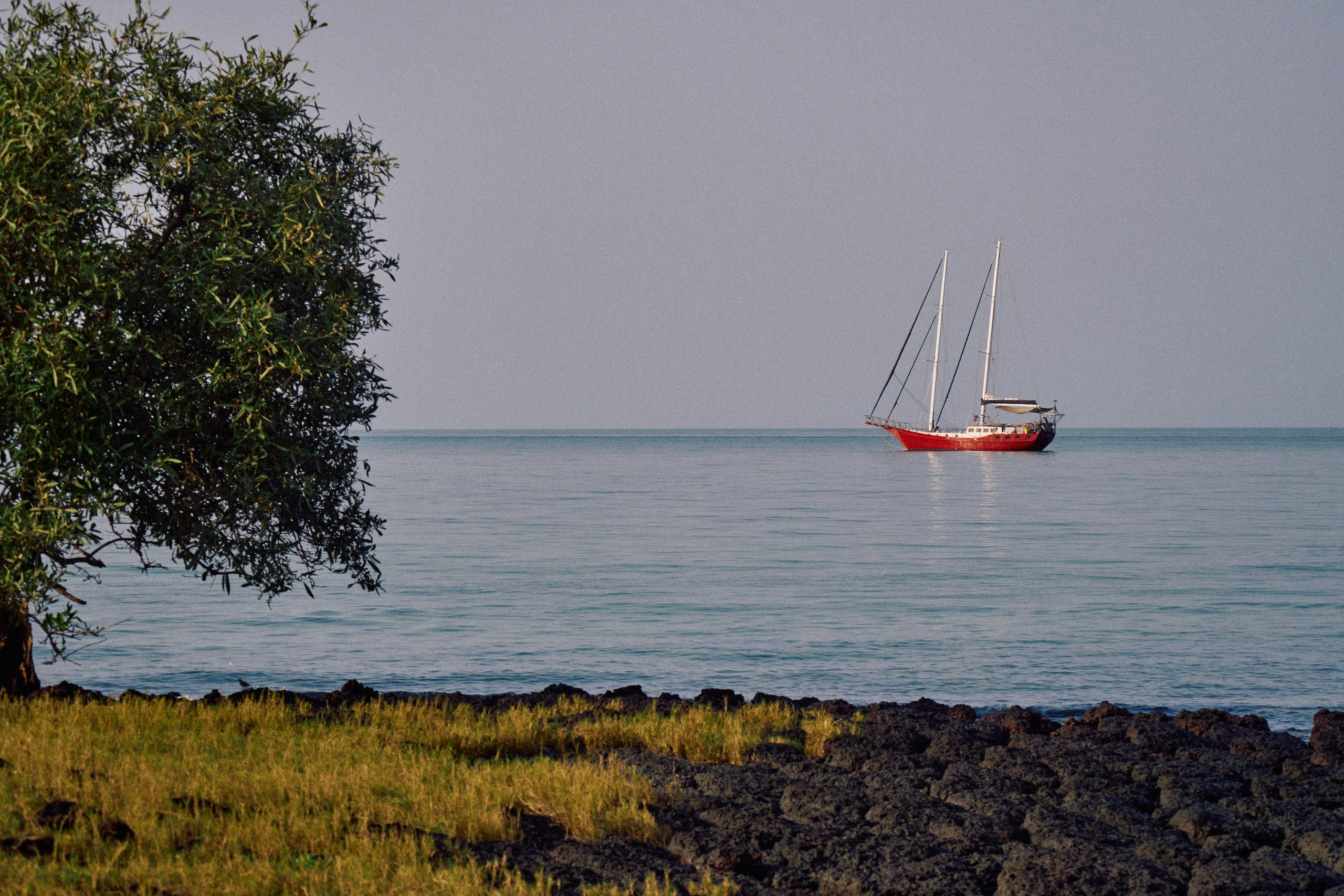 Guinea-Bissau. See the moment and catche. commercial and reportage
