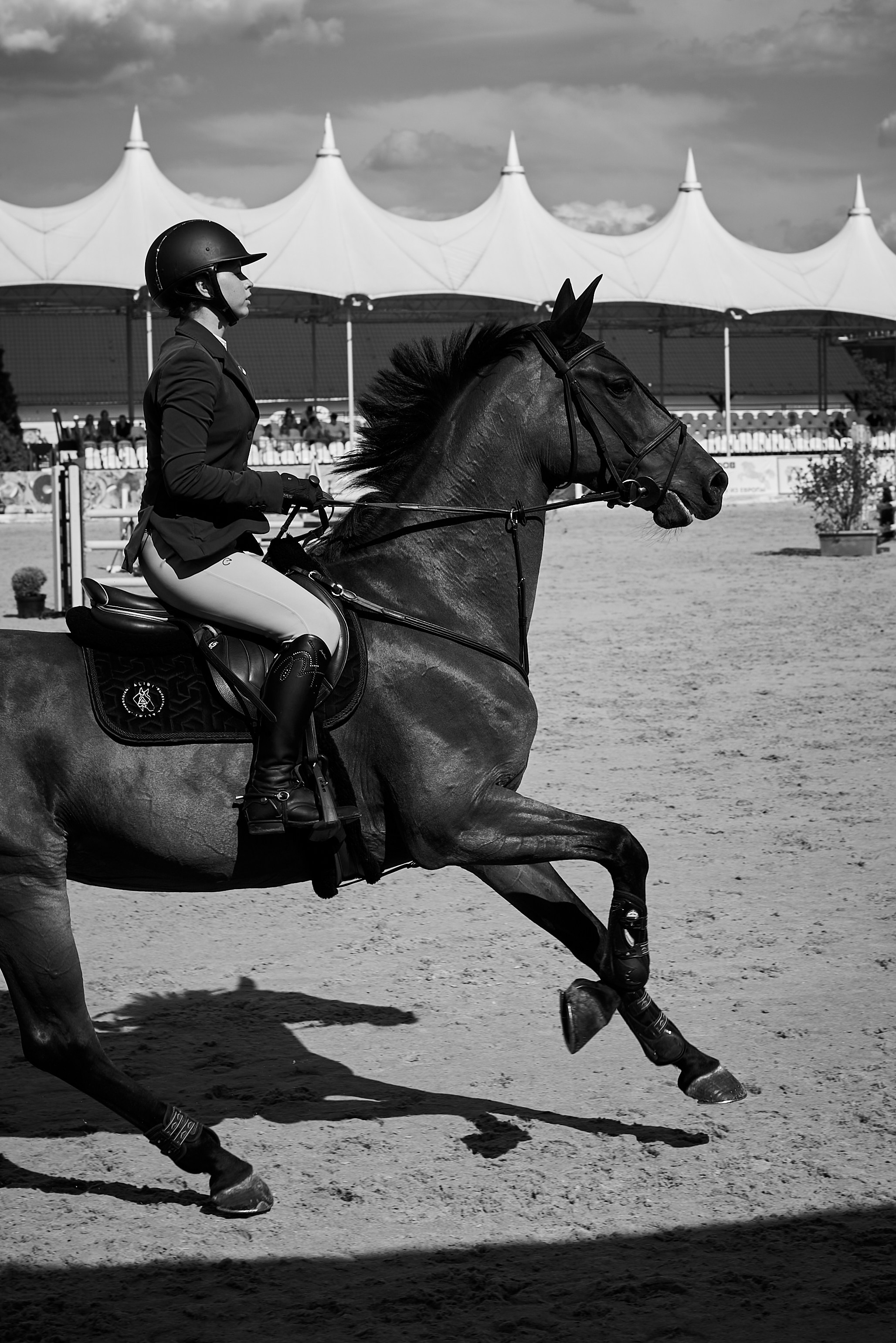 Алиса и Кон Челла В. Фотосессии с лошадьми в Москве, Новосибирске