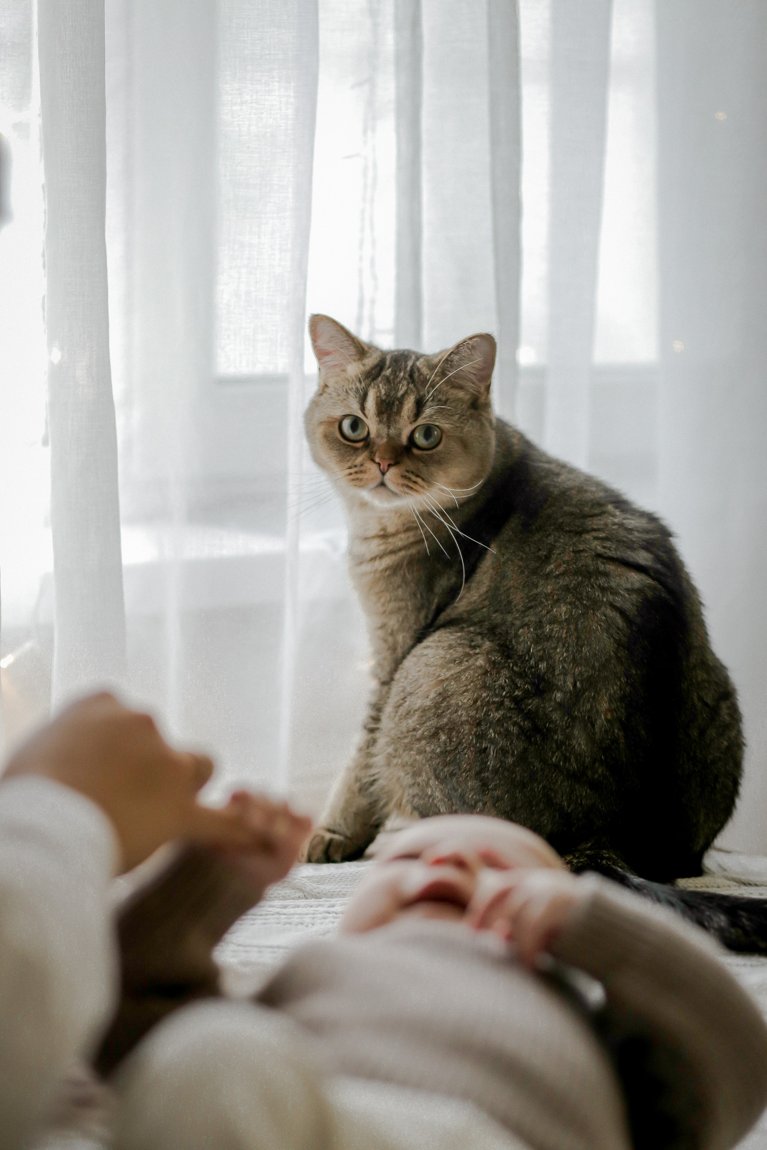 СЕМЬЯ. Фото и Видео в Краснодаре Verveyko Studio