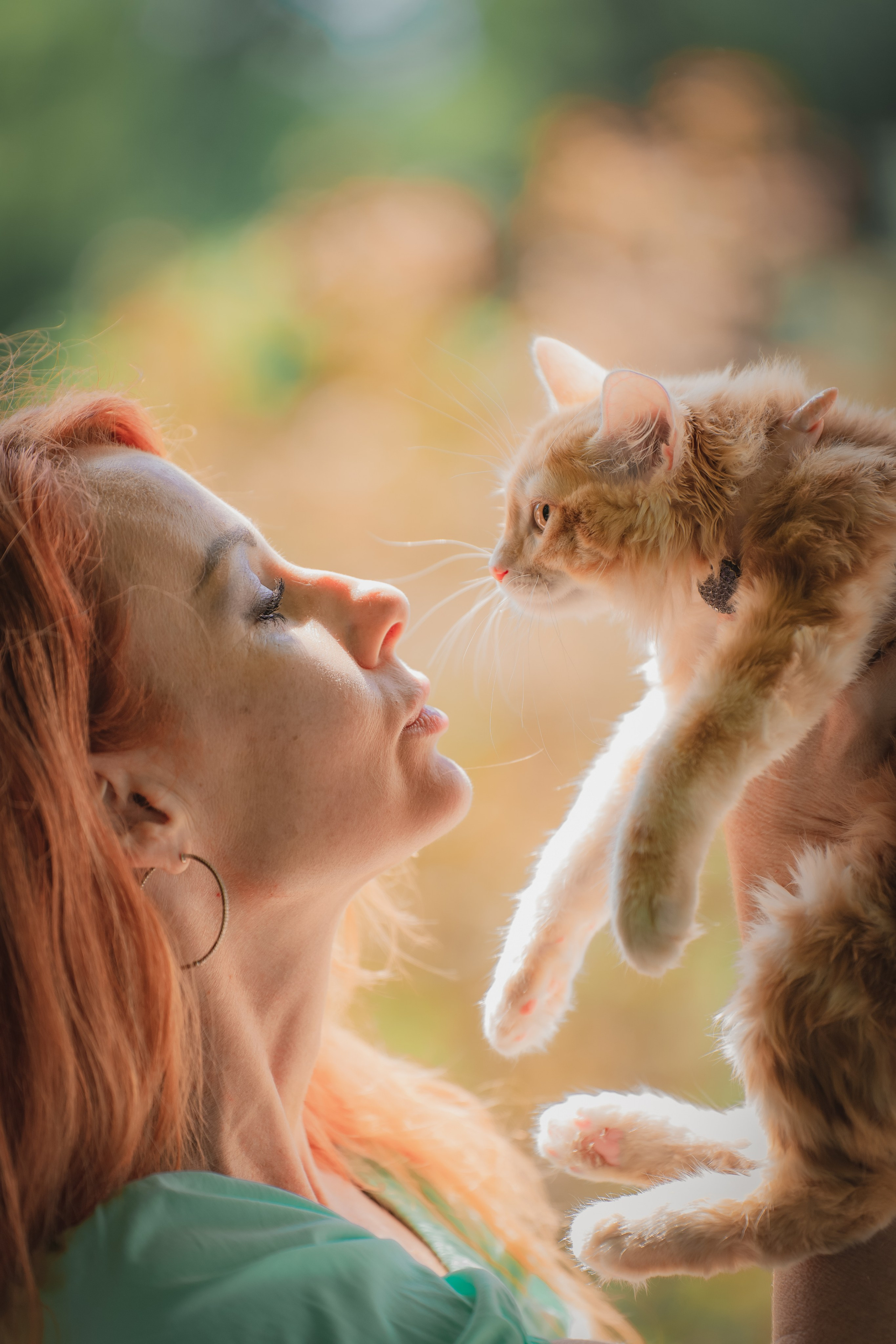 Питомник Курильских бобтейлов. Фотограф в Москве Ленарская Дарья