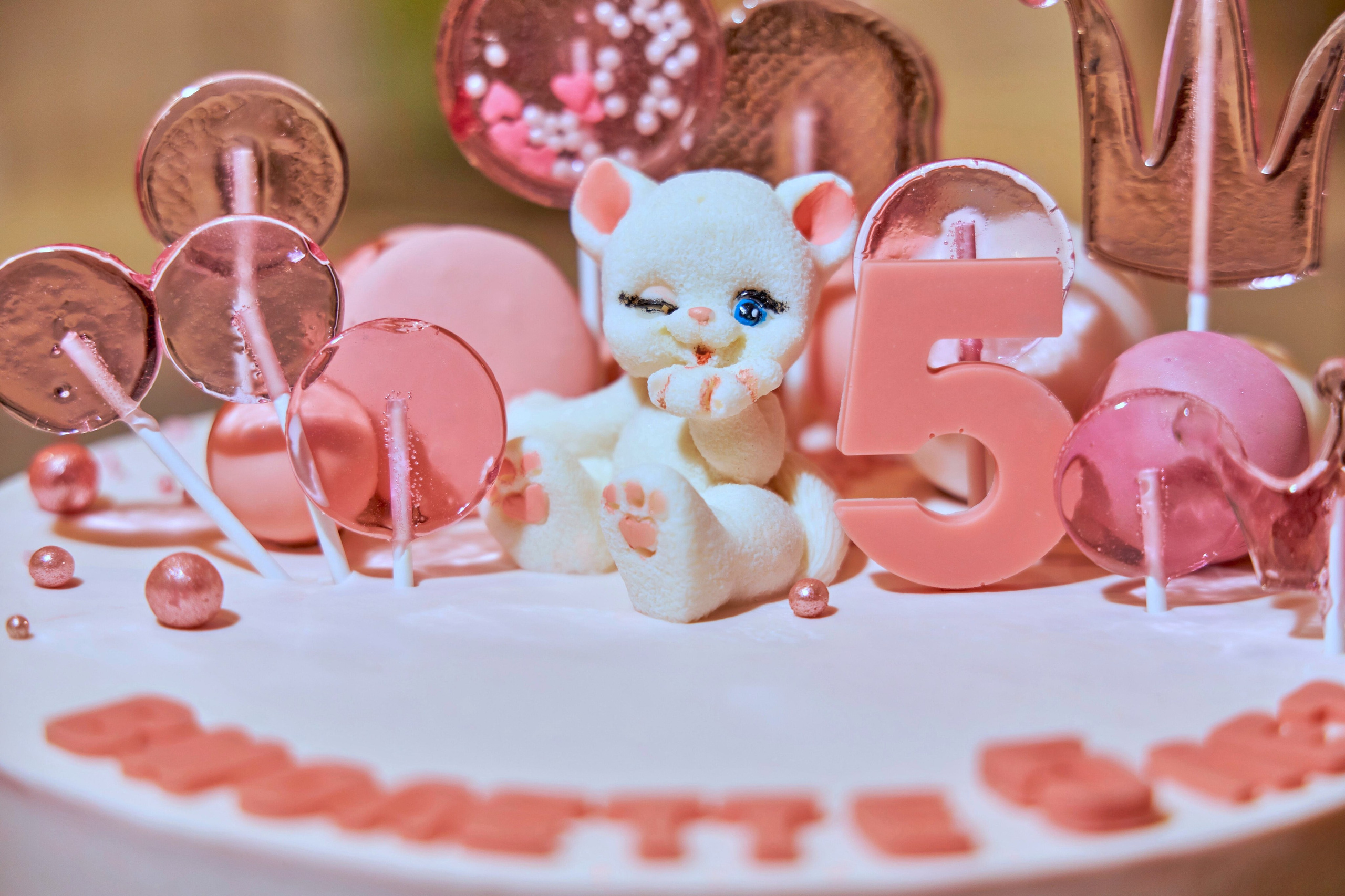 Дни рождения. Фотограф Александр Музыка