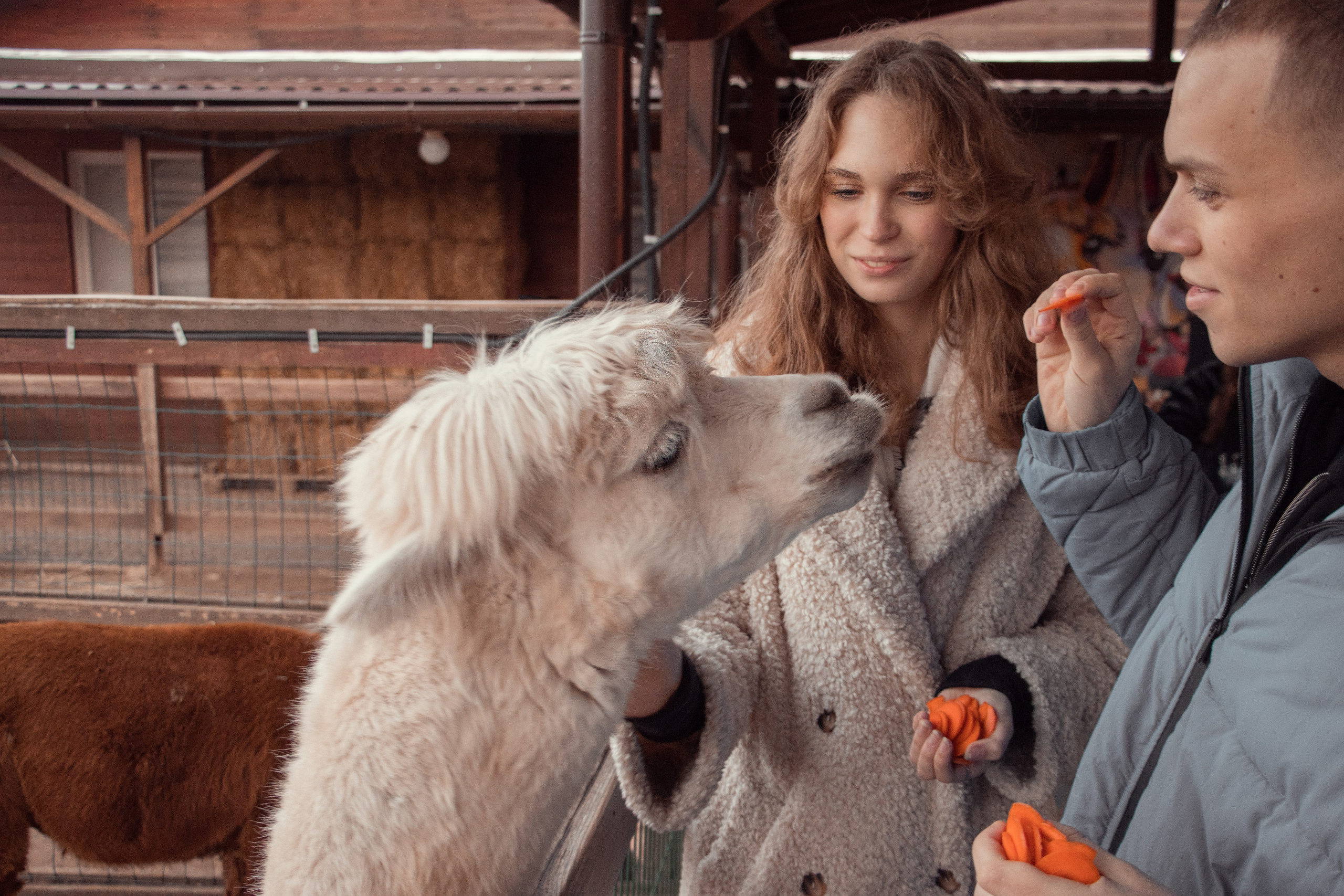 Семейная съёмка. Семейный и детский фотограф в Одинцово Архипчук Кристина