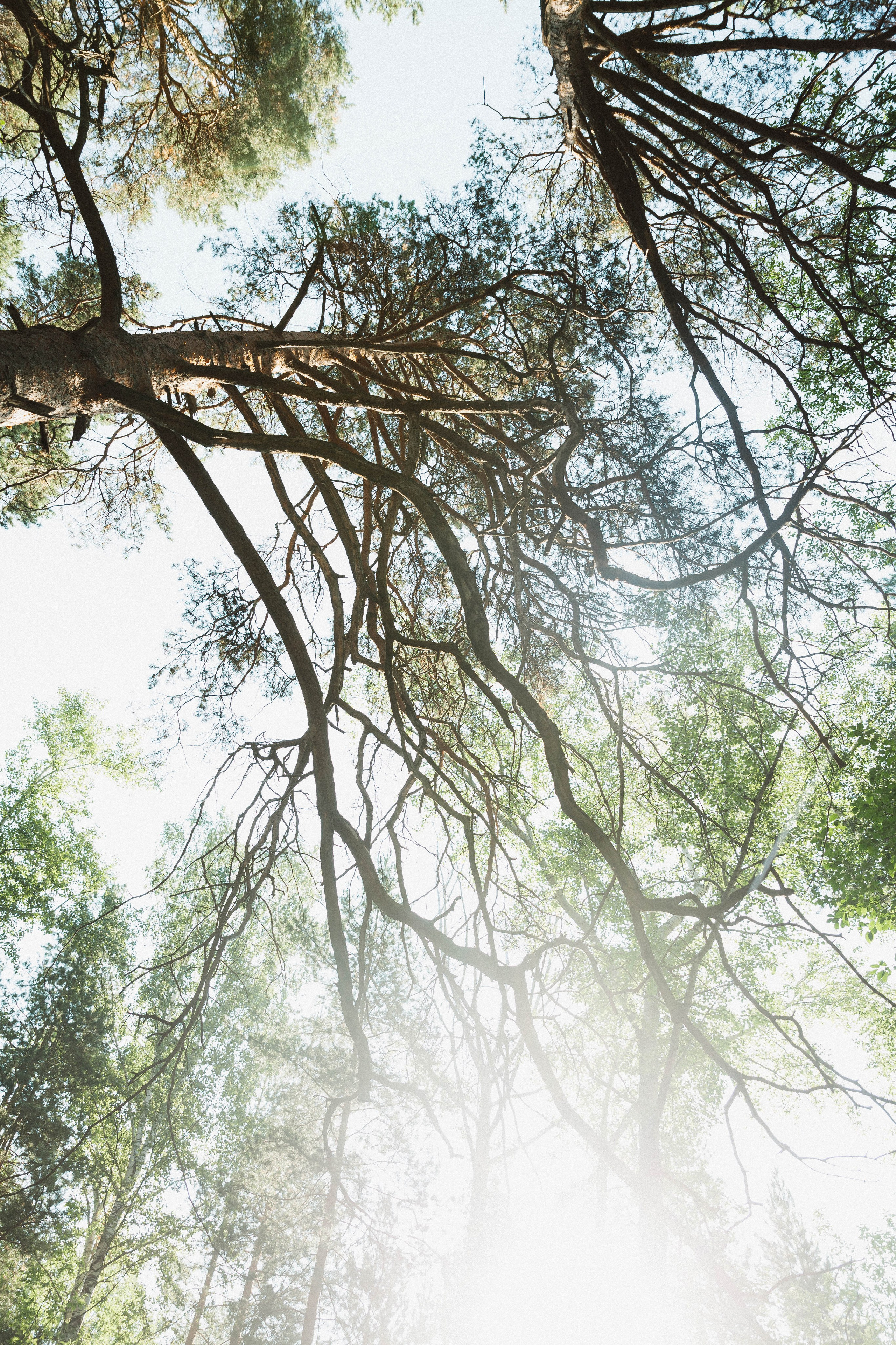 Уральские Умельцы — 1 Сезон — бэкстейдж. Фотограф ЕКБ