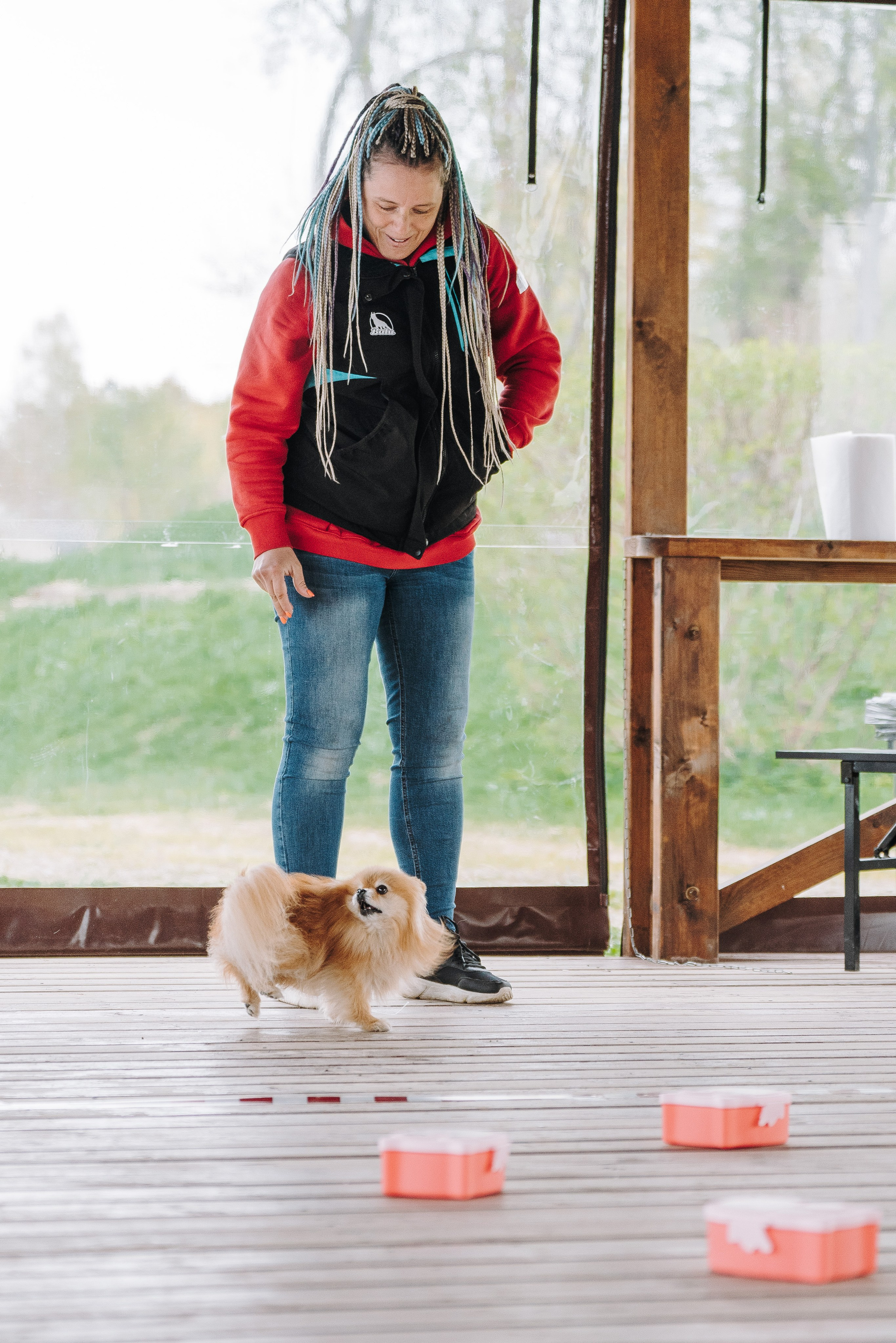 Соревнования по ноузворку в Лосево. Фотограф анималист в Спб недорого Олеся Майорова