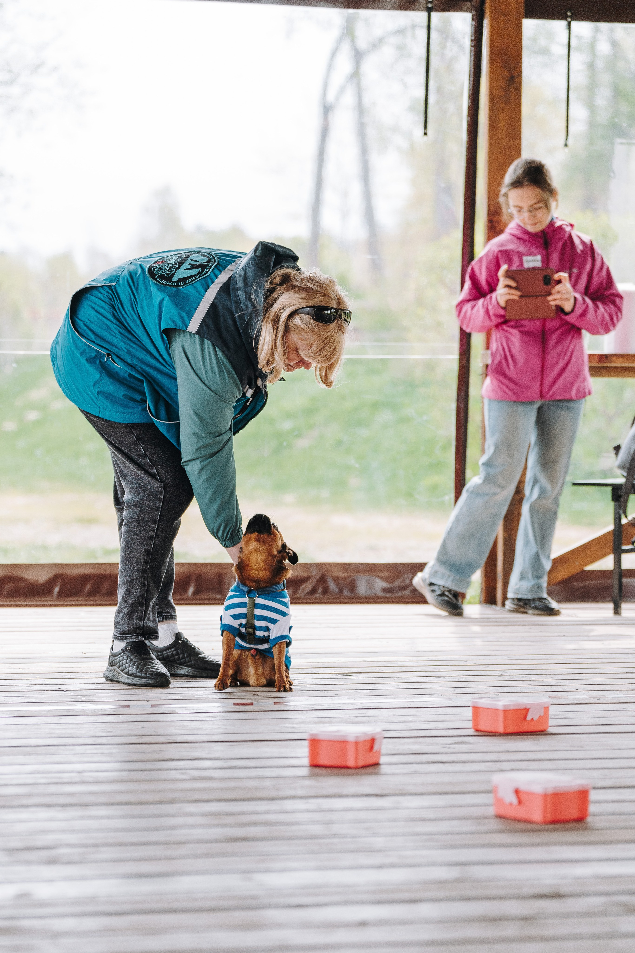 Соревнования по ноузворку в Лосево. Фотограф анималист в Спб недорого Олеся Майорова