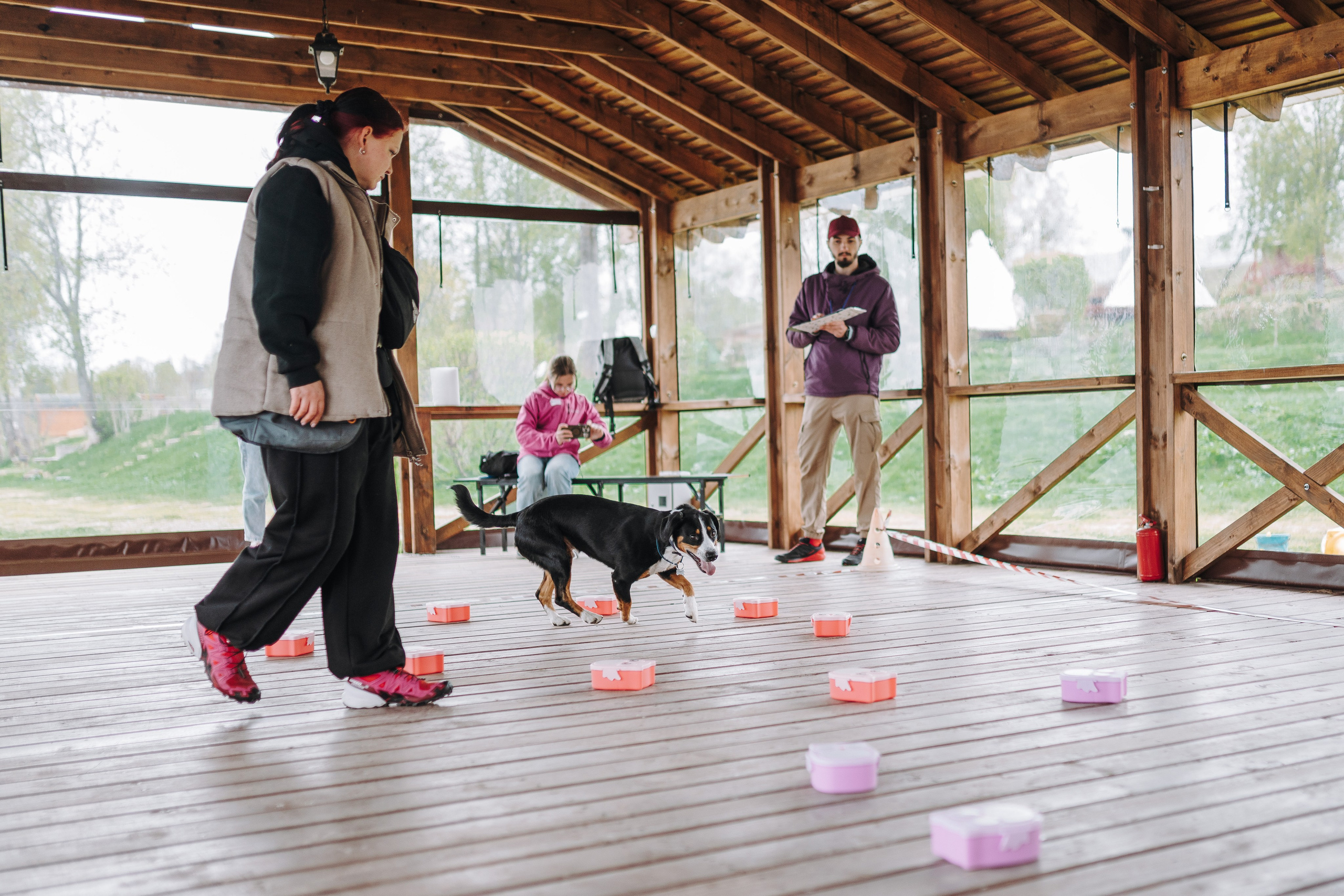 Соревнования по ноузворку в Лосево. Фотограф анималист в Спб недорого Олеся Майорова