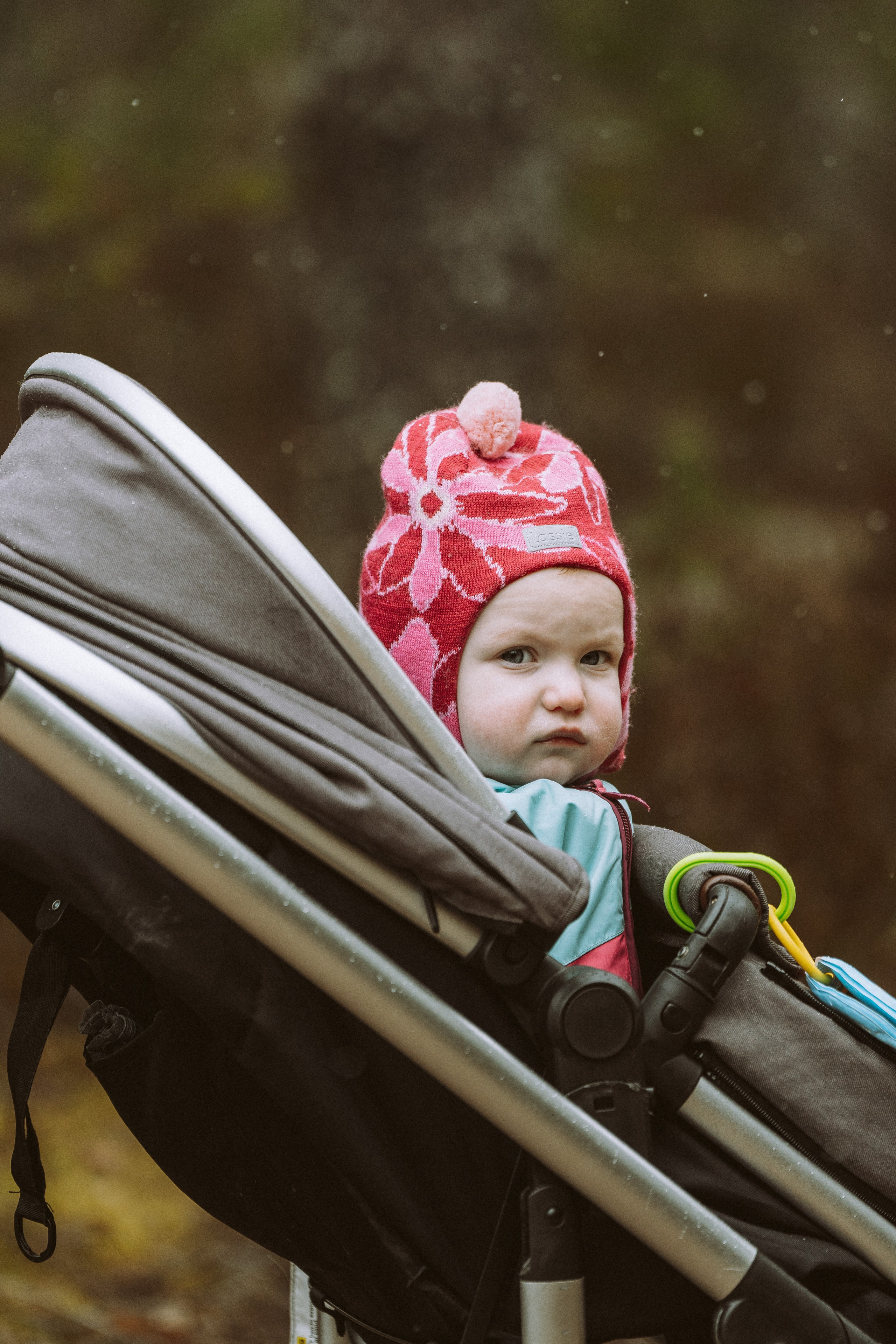 Дог трекинг к финскому хутору. Фотограф анималист в Спб недорого Олеся Майорова