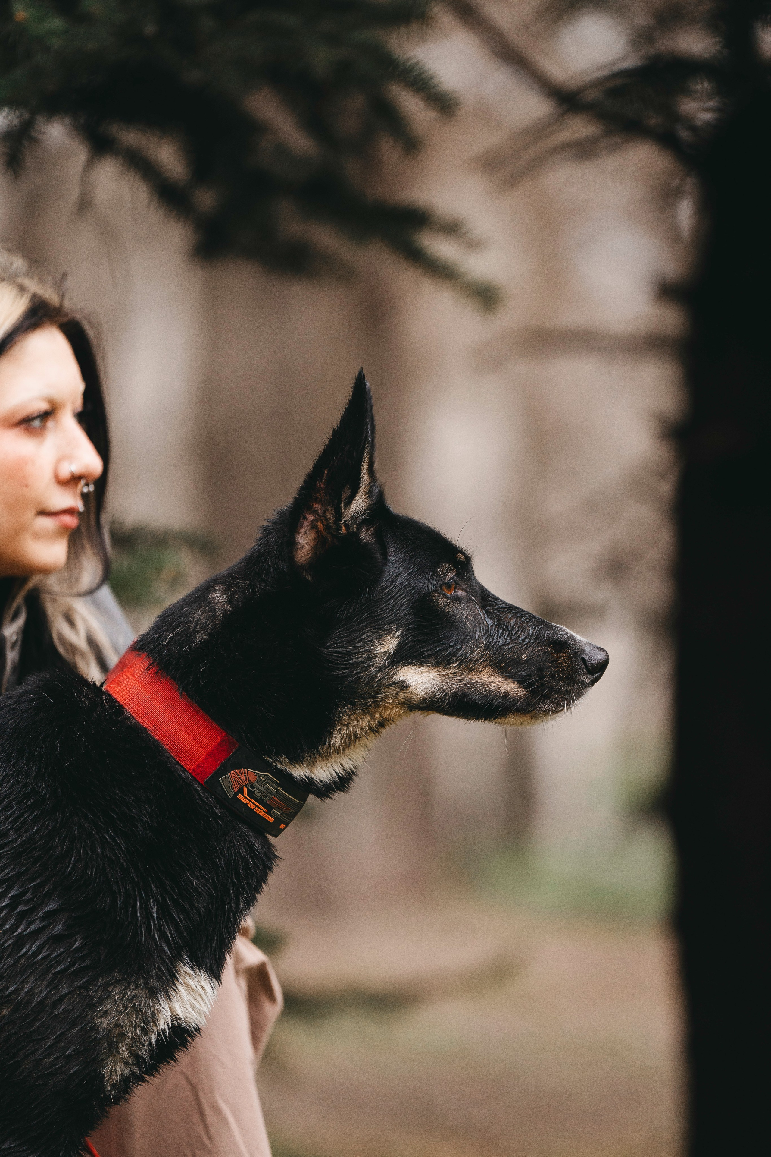 Эля и Шиза. Фотограф анималист в Спб недорого Олеся Майорова