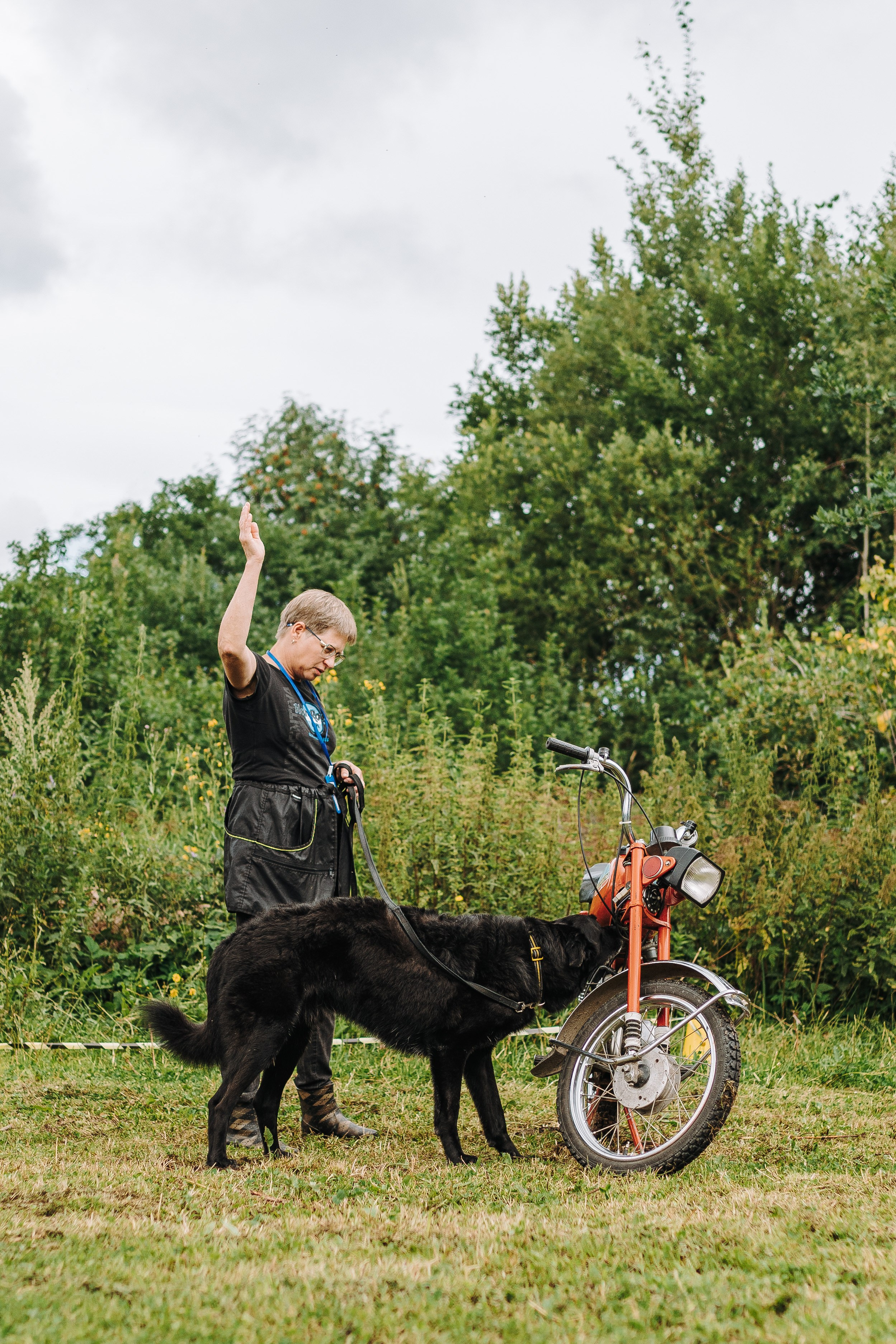 Соревнования по ноузворку в Новожилово. Фотограф анималист в Спб недорого Олеся Майорова
