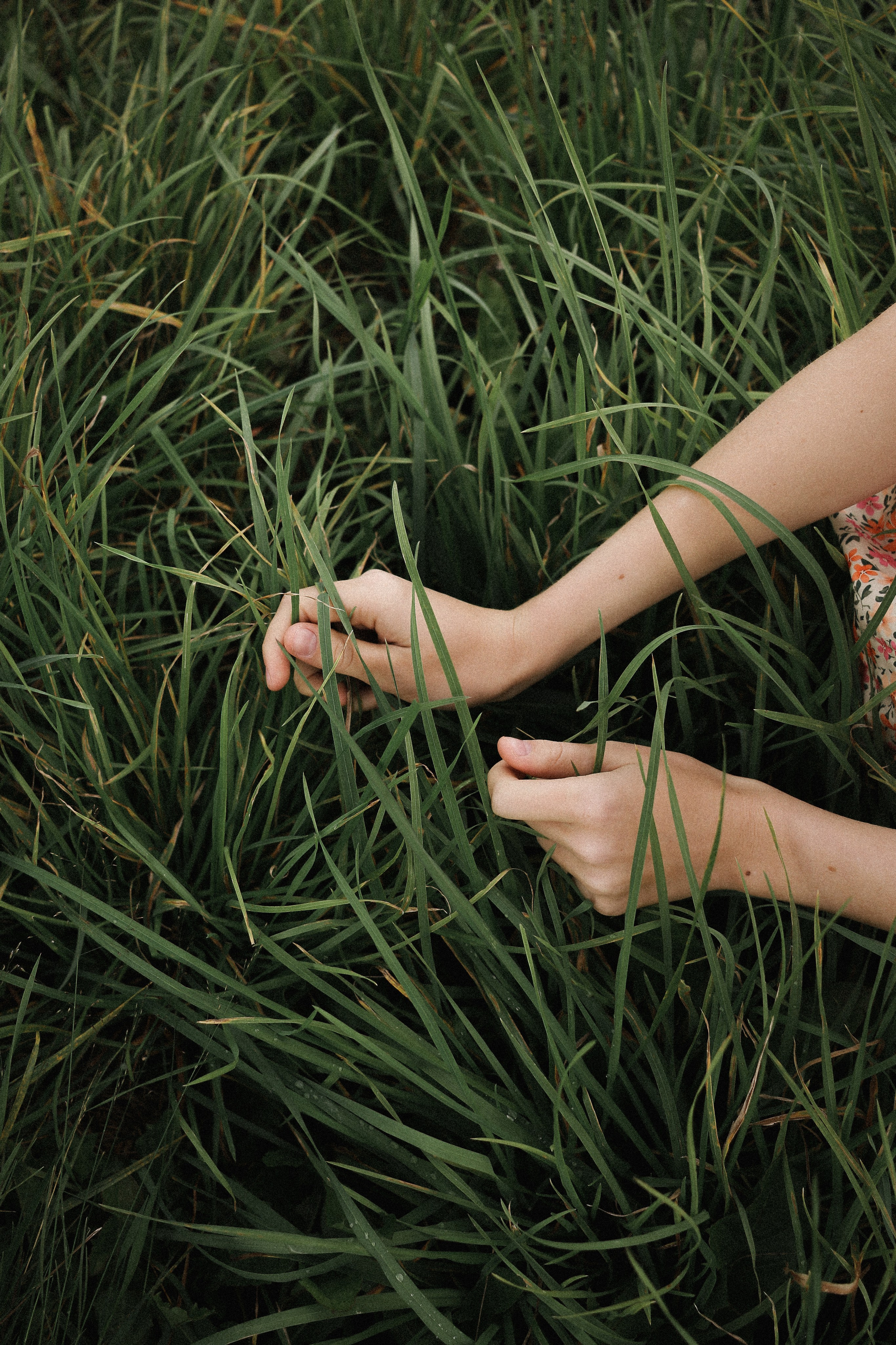 Фрагменты лета. Портретный фотограф в Санкт-Петербурге Мария Вармер