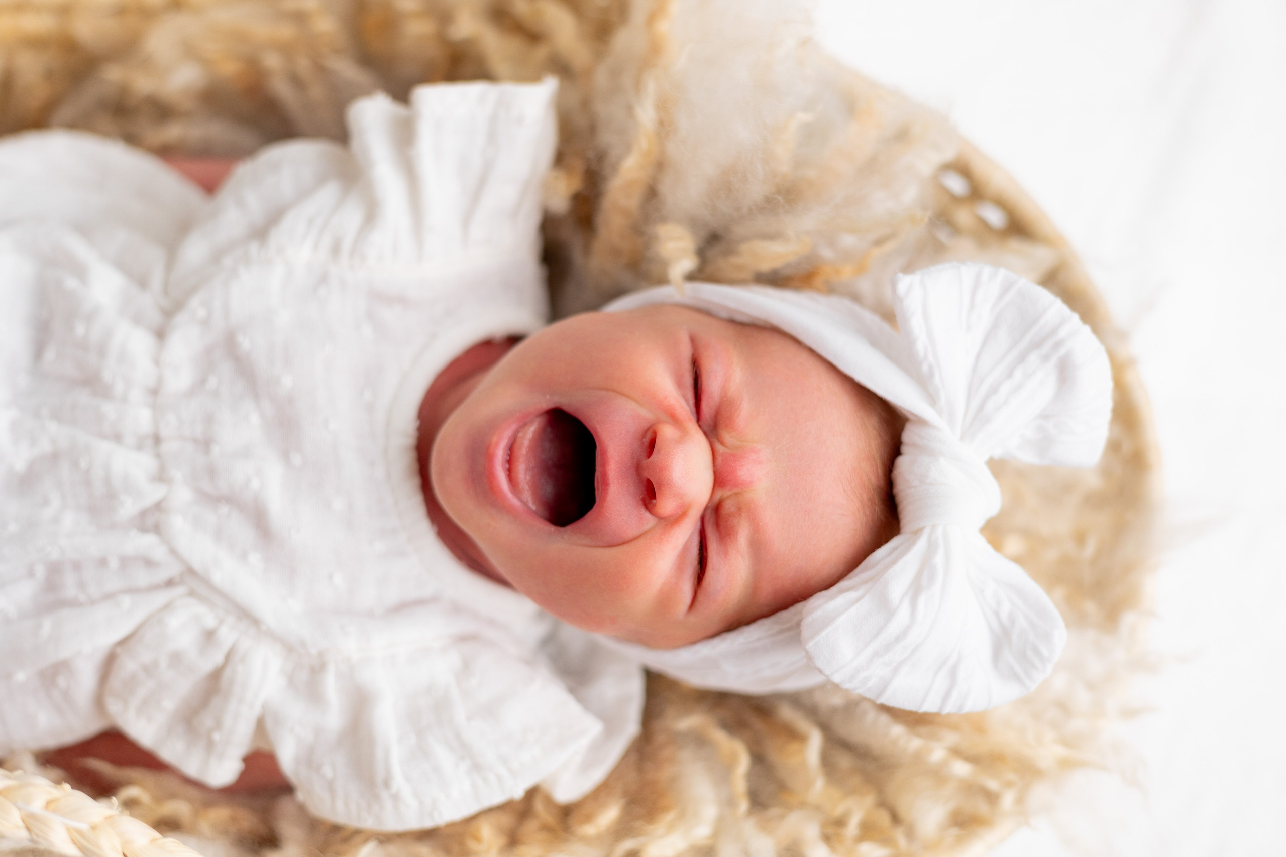 Цены. Фотограф беременности и материнства в Армавире Саломатина Полина