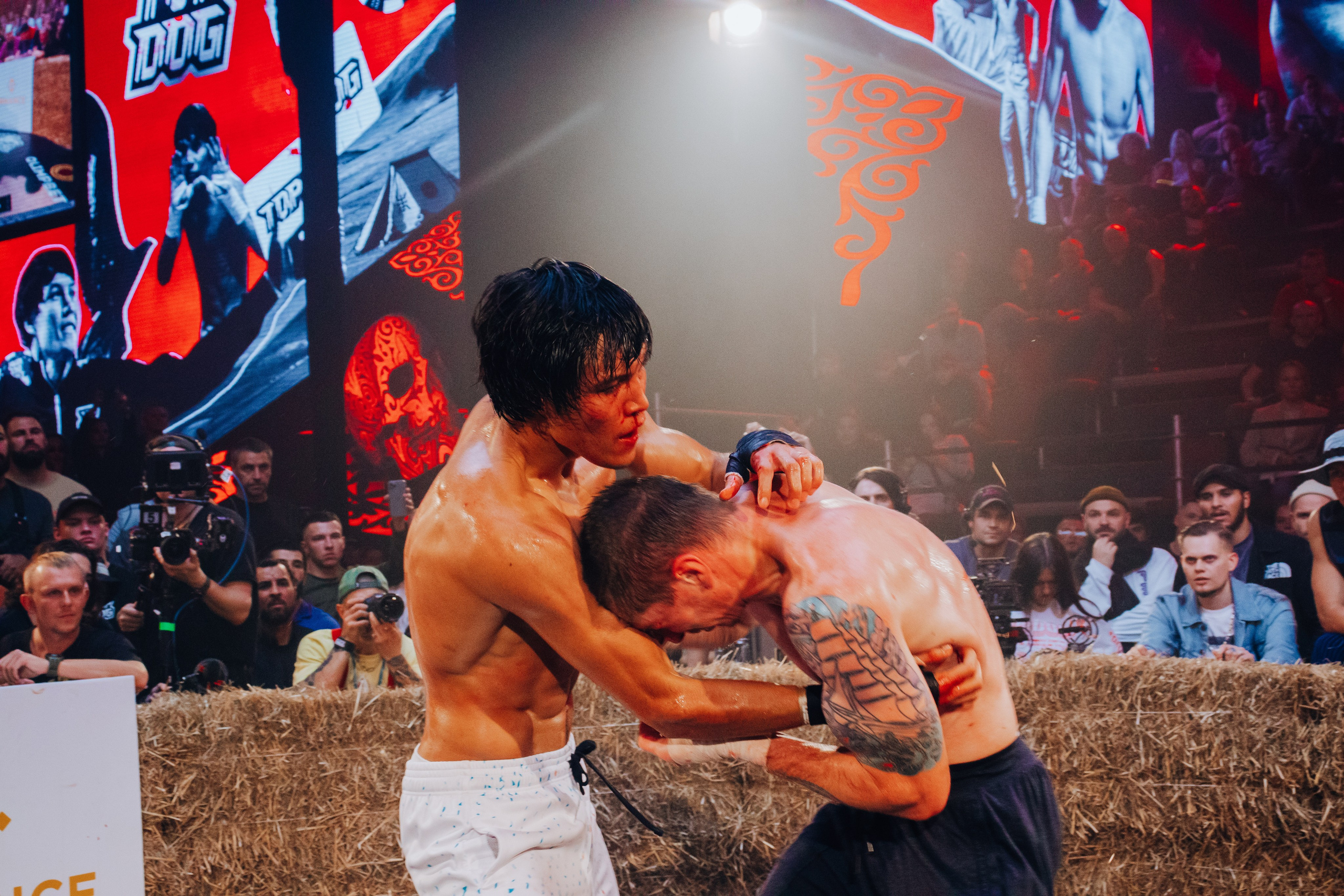 Кулачные бои TopDog. Анастасия Тен