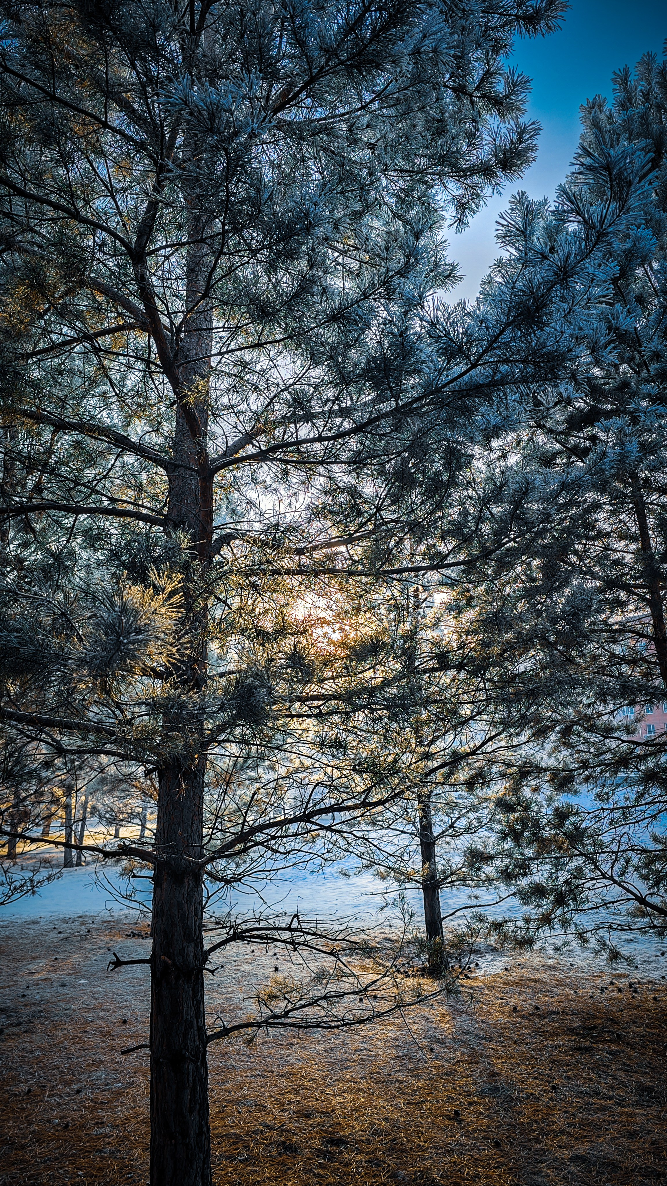 Скоро лето. Игорь Урывский. Фотограф Красноярск