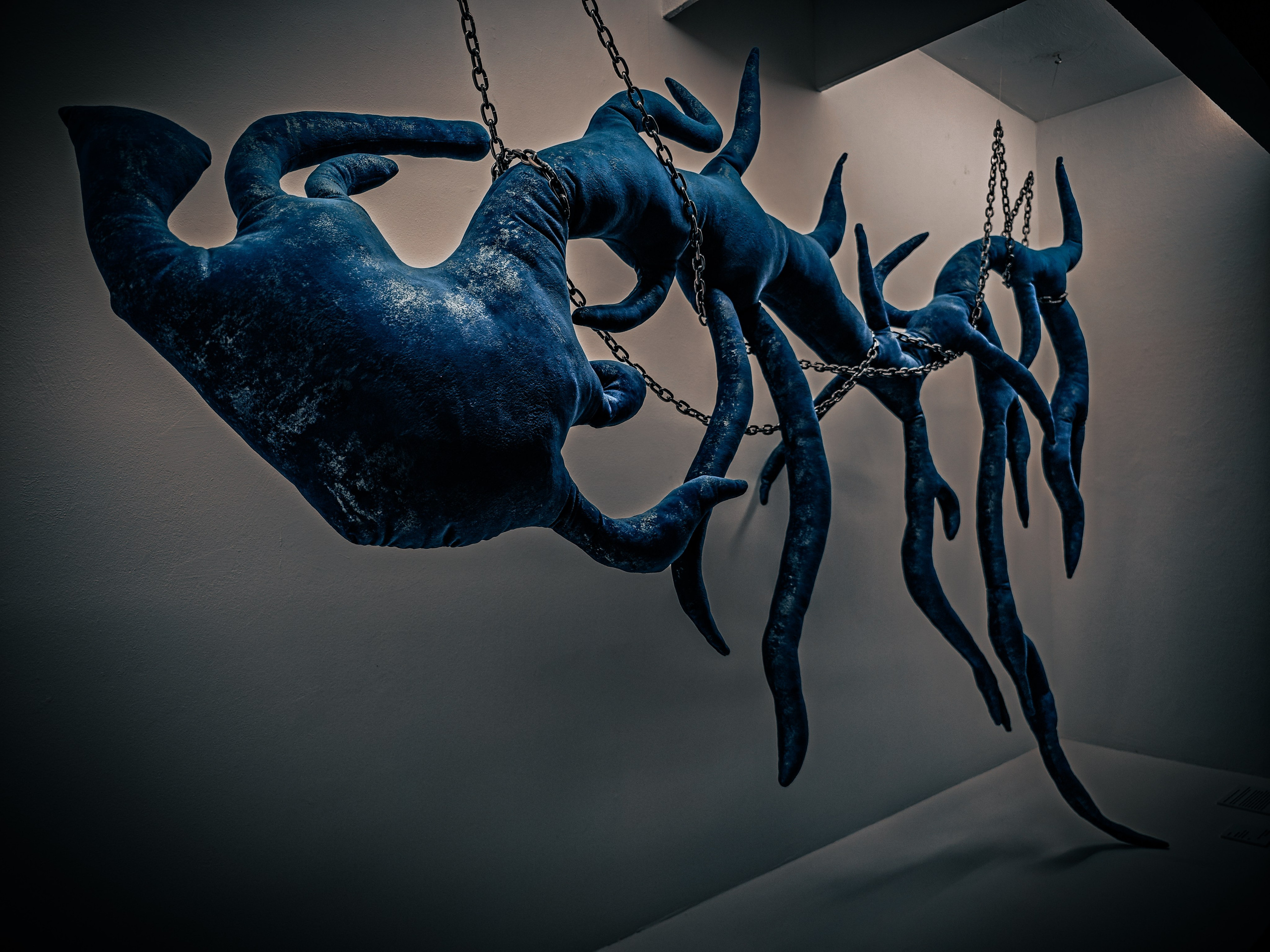 Выставка «Сны Сибири». Игорь Урывский. Фотограф Красноярск