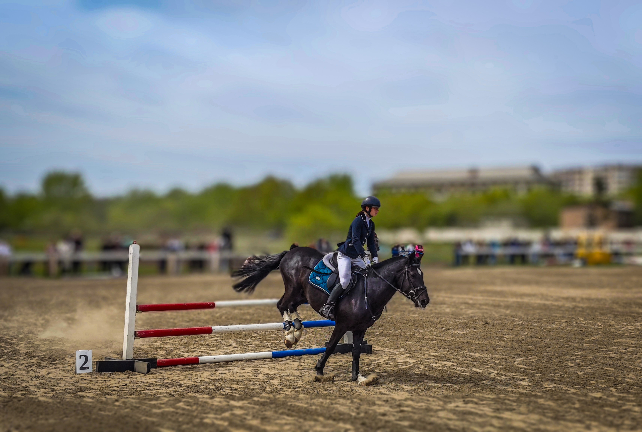 Красноярский ипподром. Открытие сезона 2025. Игорь Урывский. Фотограф Красноярск