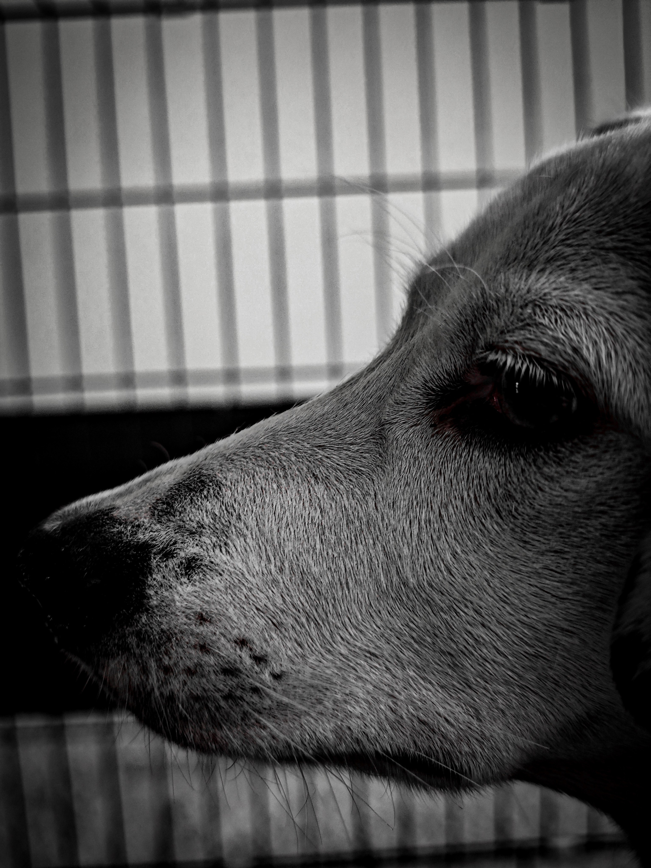 Ожидание. Игорь Урывский. Фотограф Красноярск