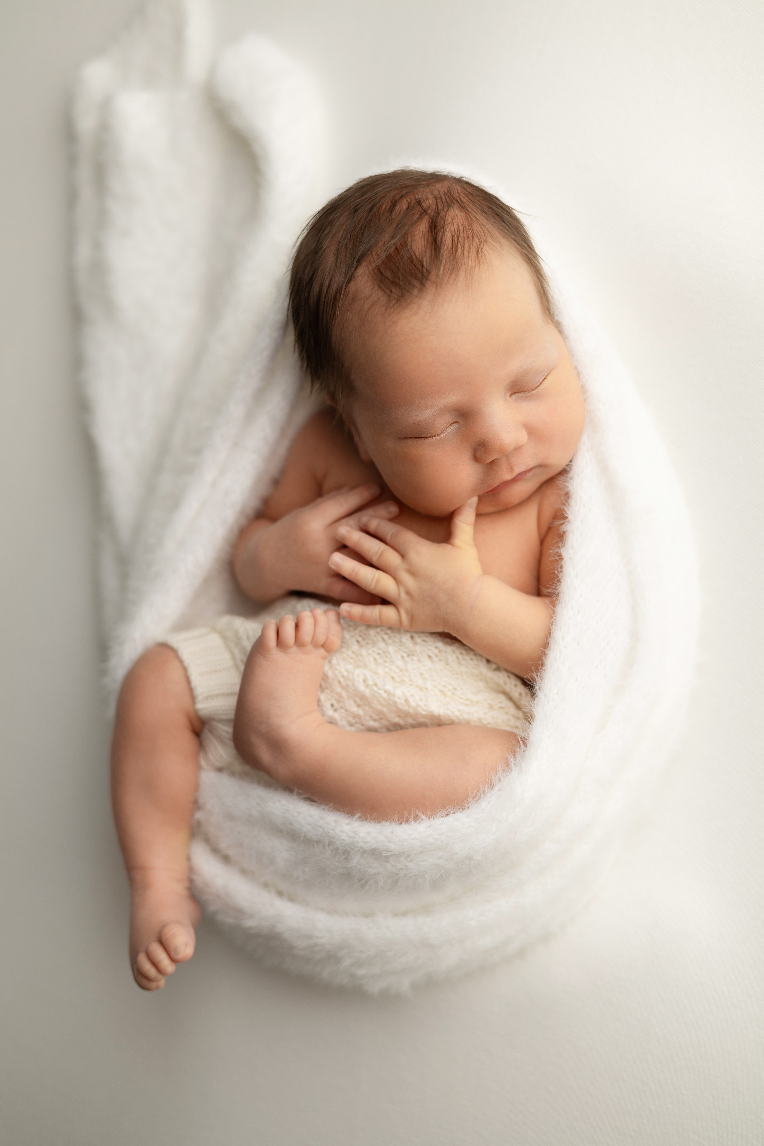 Лев. Лилия Алтухова — фотограф новорожденных в Москве и области