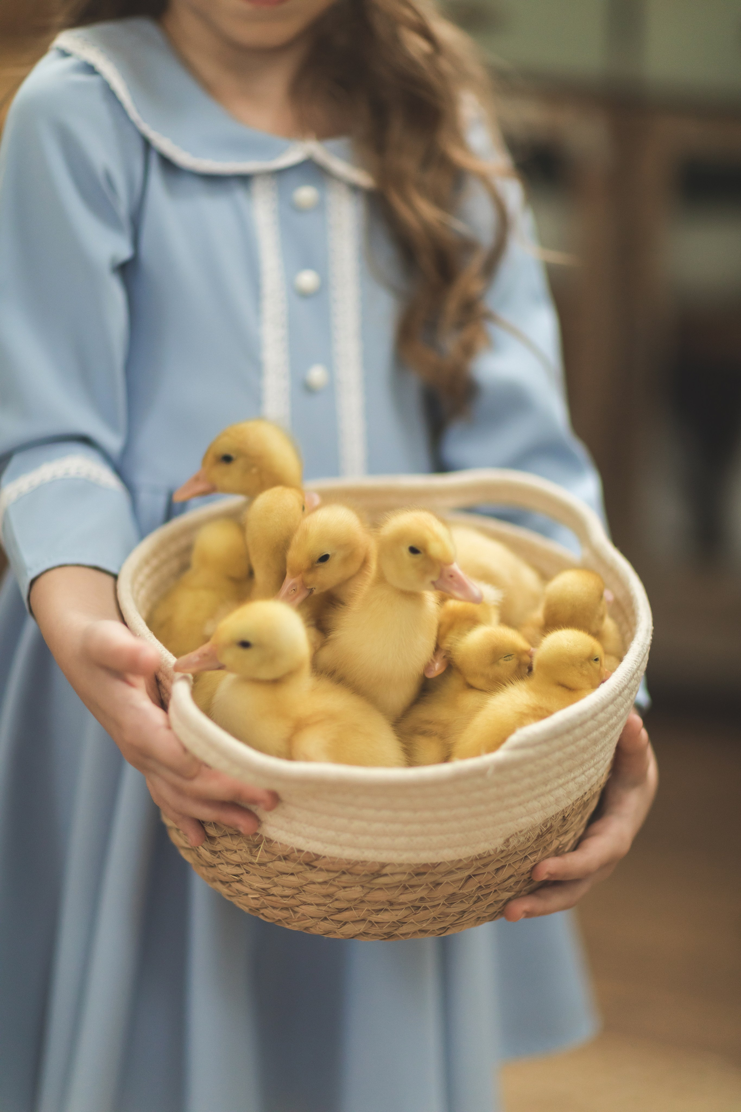 Пасха с животными (3,4 апреля). Семейный и детский фотограф Краснодар Валерия Власенко
