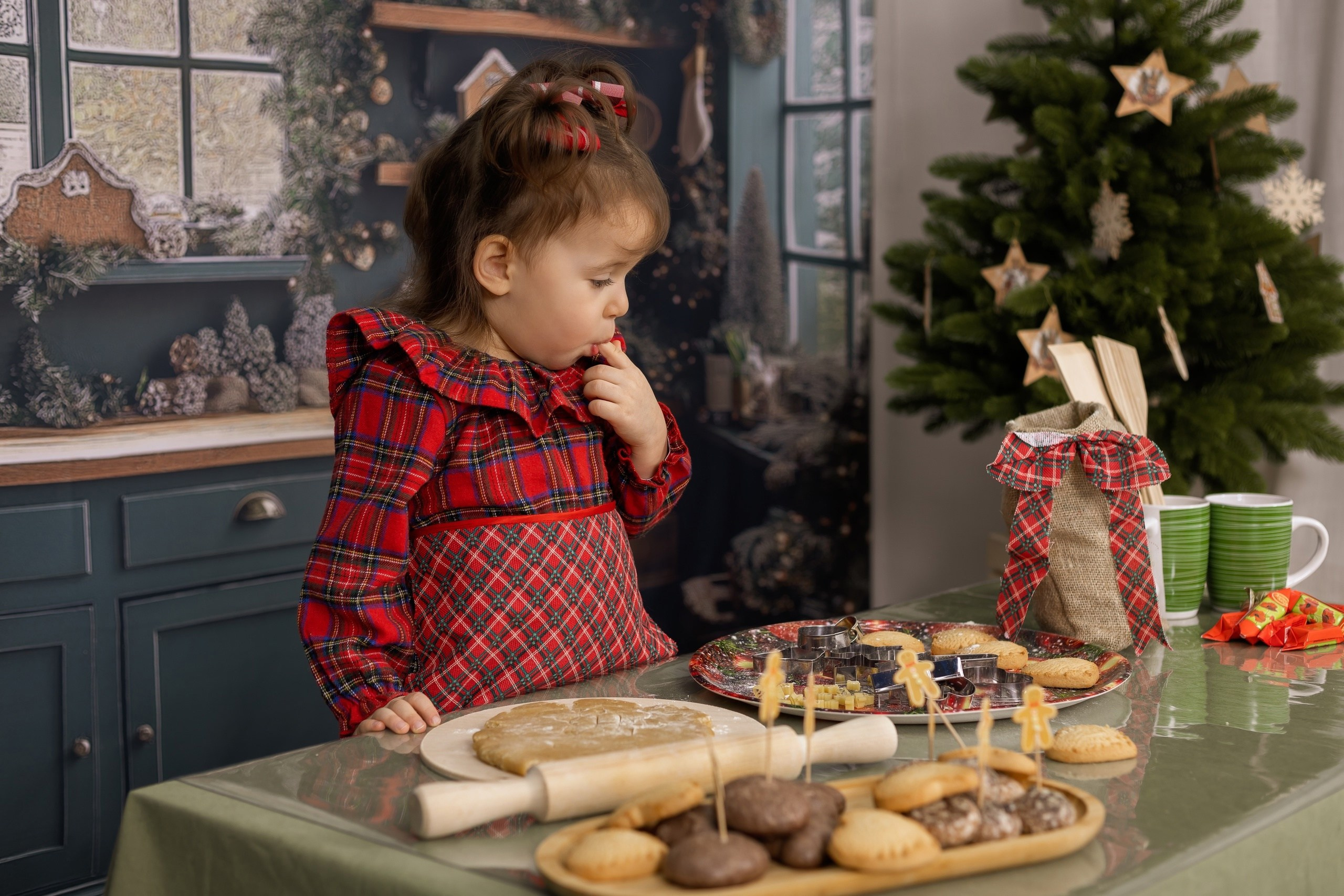 Новогодняя фотосессия. Фотостудия «Олеся». Фотостудия в г. Верхняя Пышма