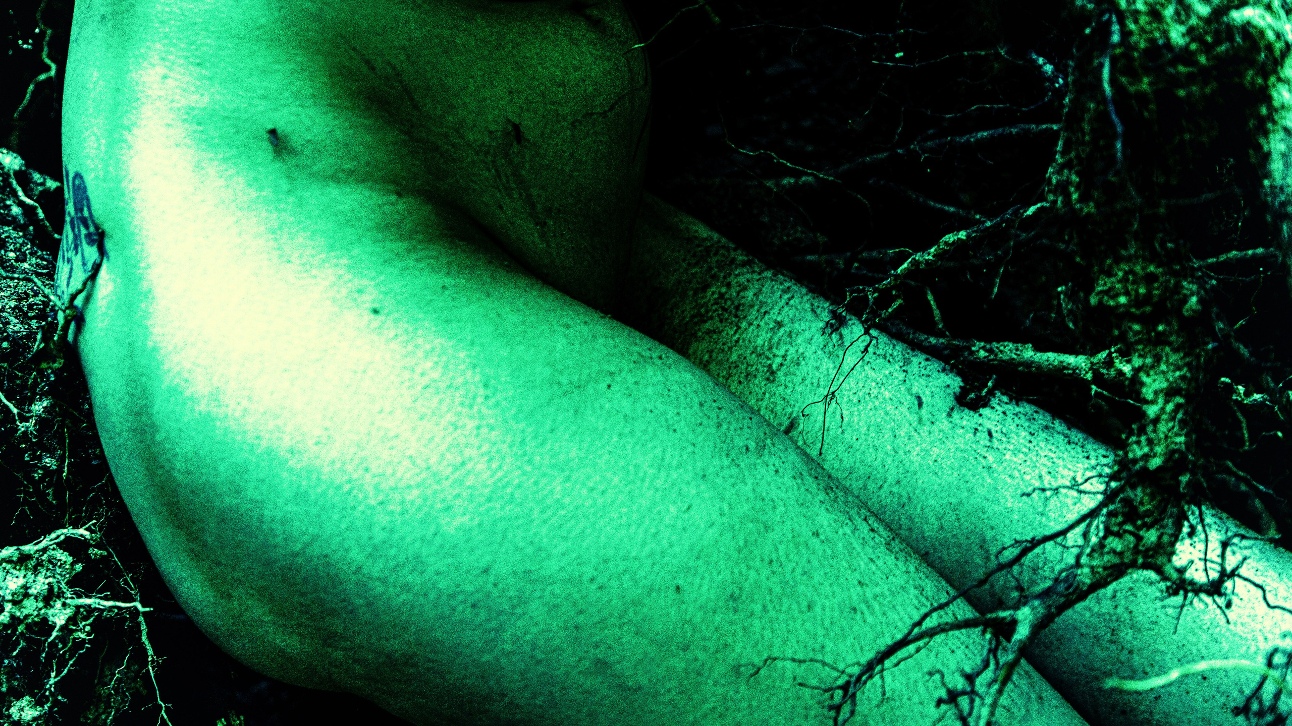 Даниэлла. Черно-белый фотограф Дмитрий Пчелкин