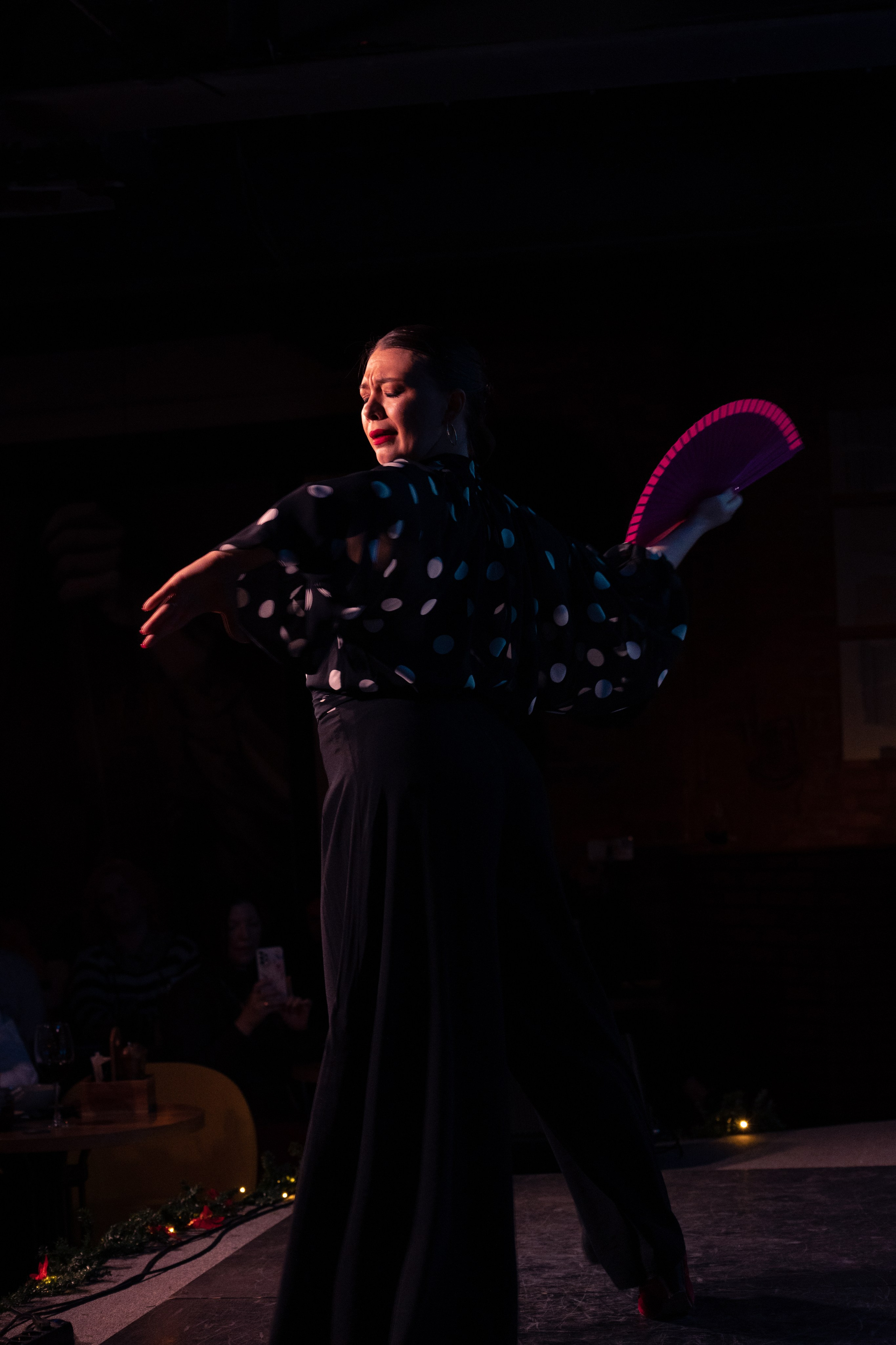 Flamenco 02.01.2025. Индивидуальные съемки, портретный фотограф