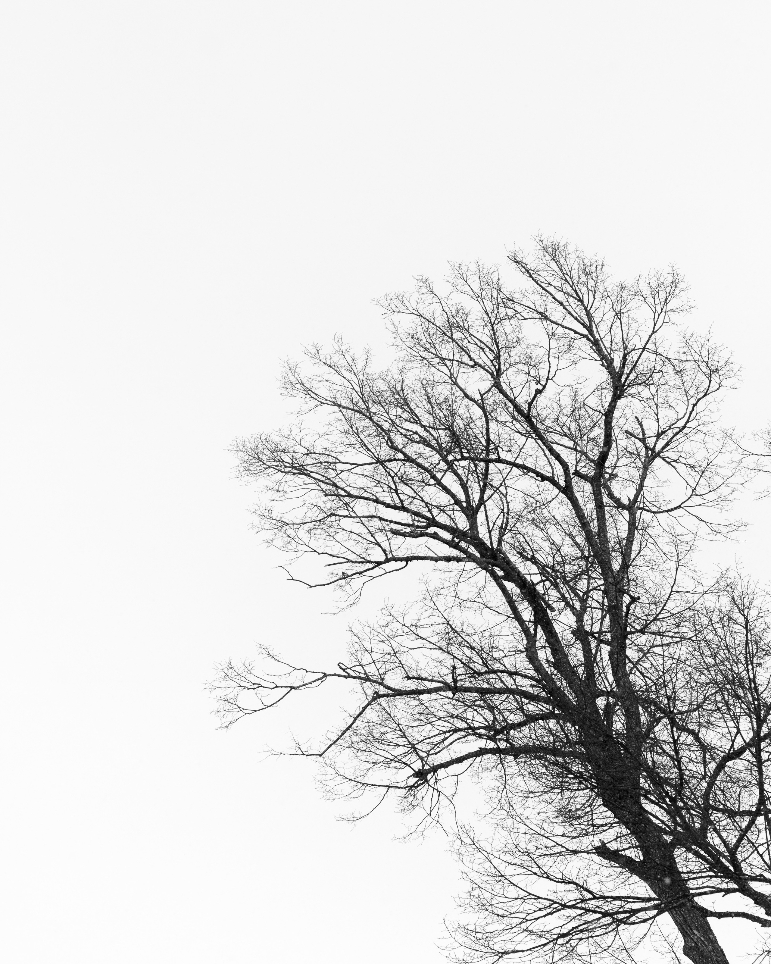 Уфа. Фотопрогулка. Олег Романов. Мастер фото по спорту