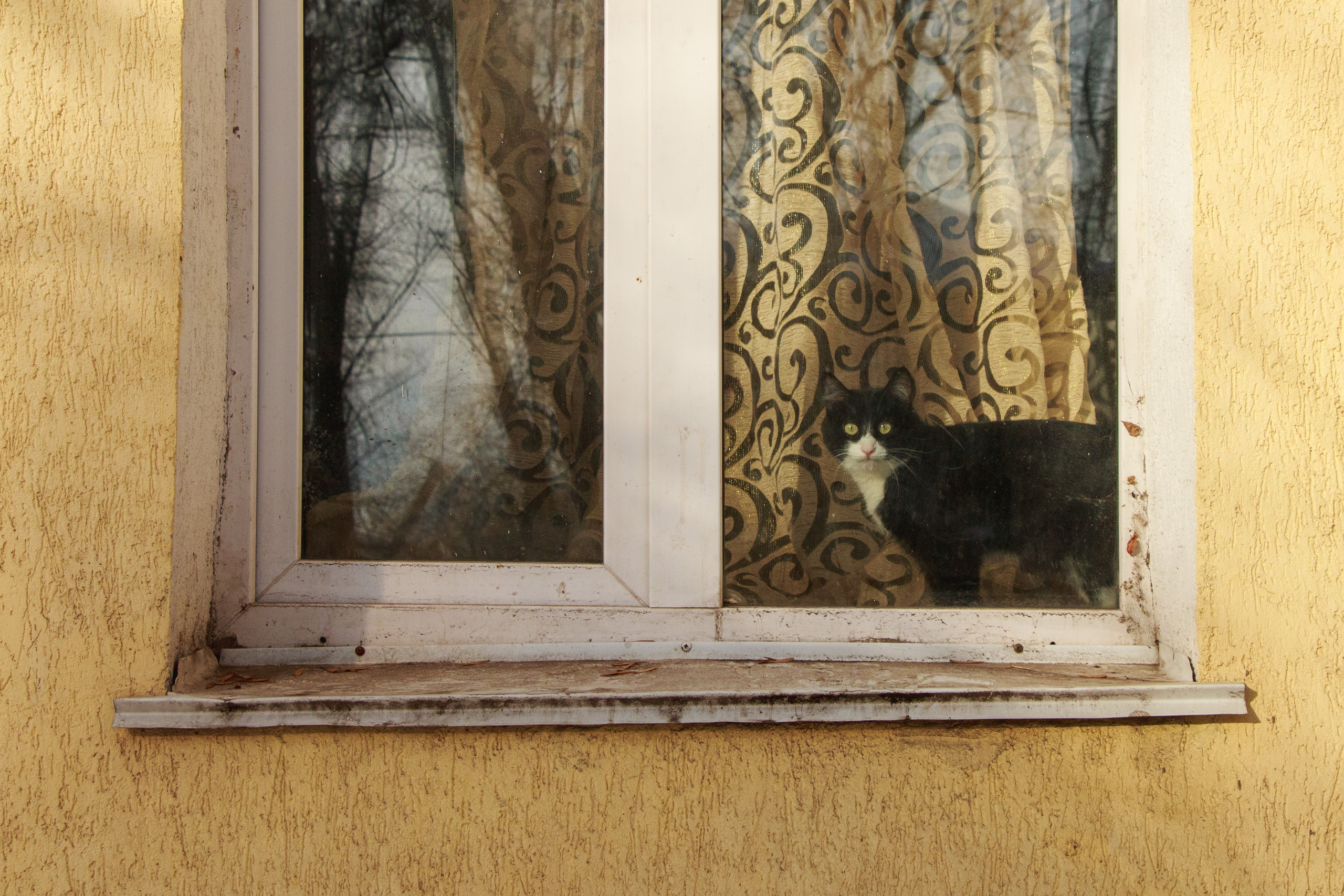 Уфа. Фотопрогулка. Олег Романов. Мастер фото по спорту