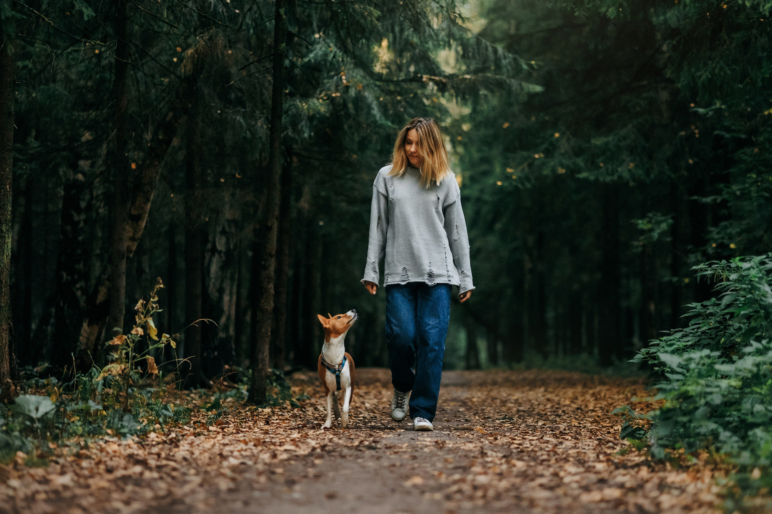 Лена и Джин. Фотограф-анималист Елена Радченко, Москва