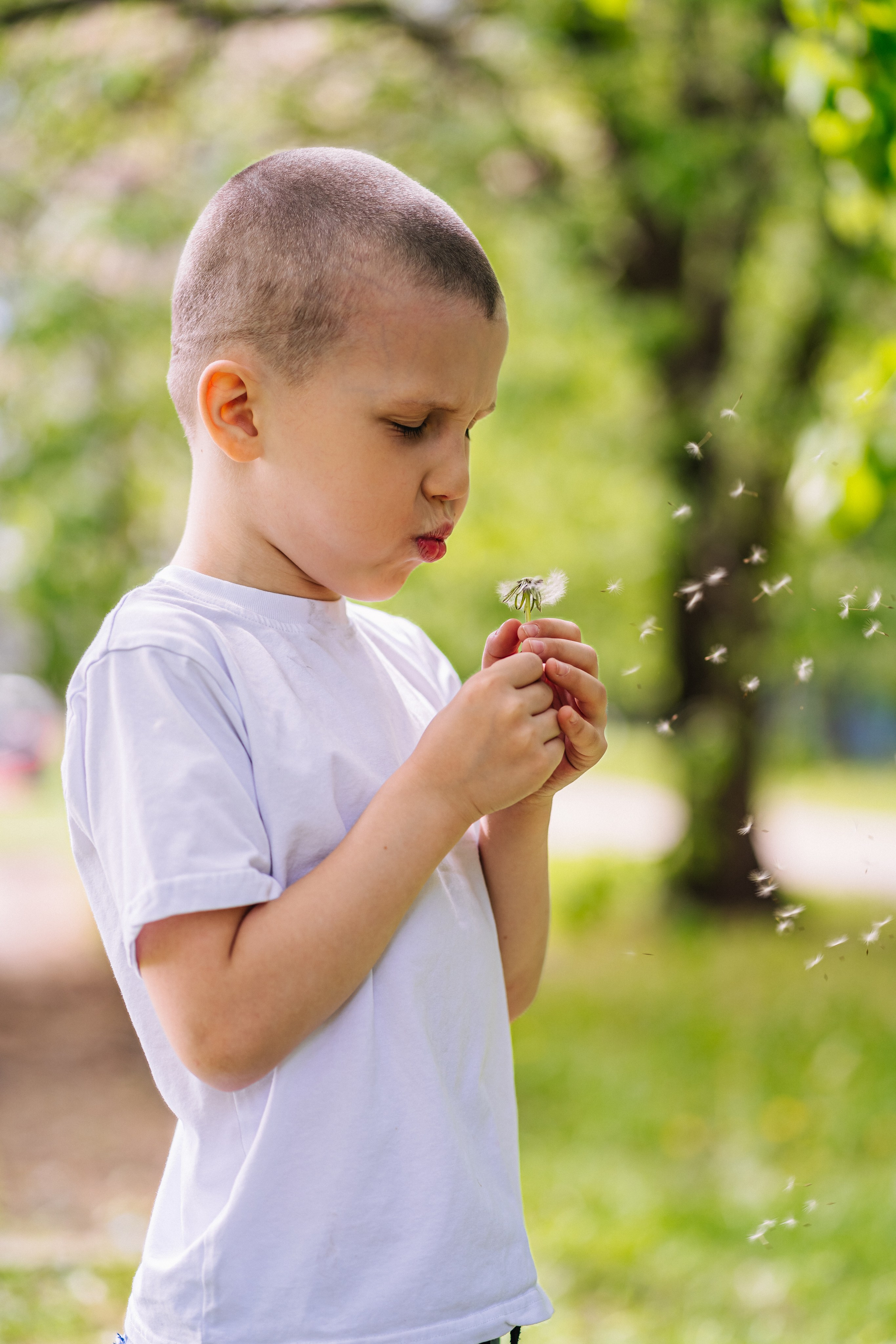 Сад4. Школьные альбомы и альбомы для детского сада. Юлия Осипова. Москва