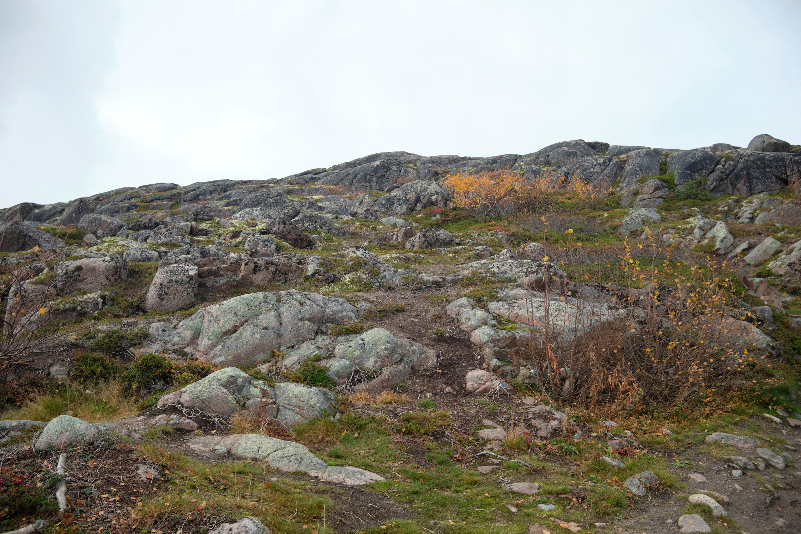 Путешествие в Териберку. Елена Павленко. Фотограф. Москва