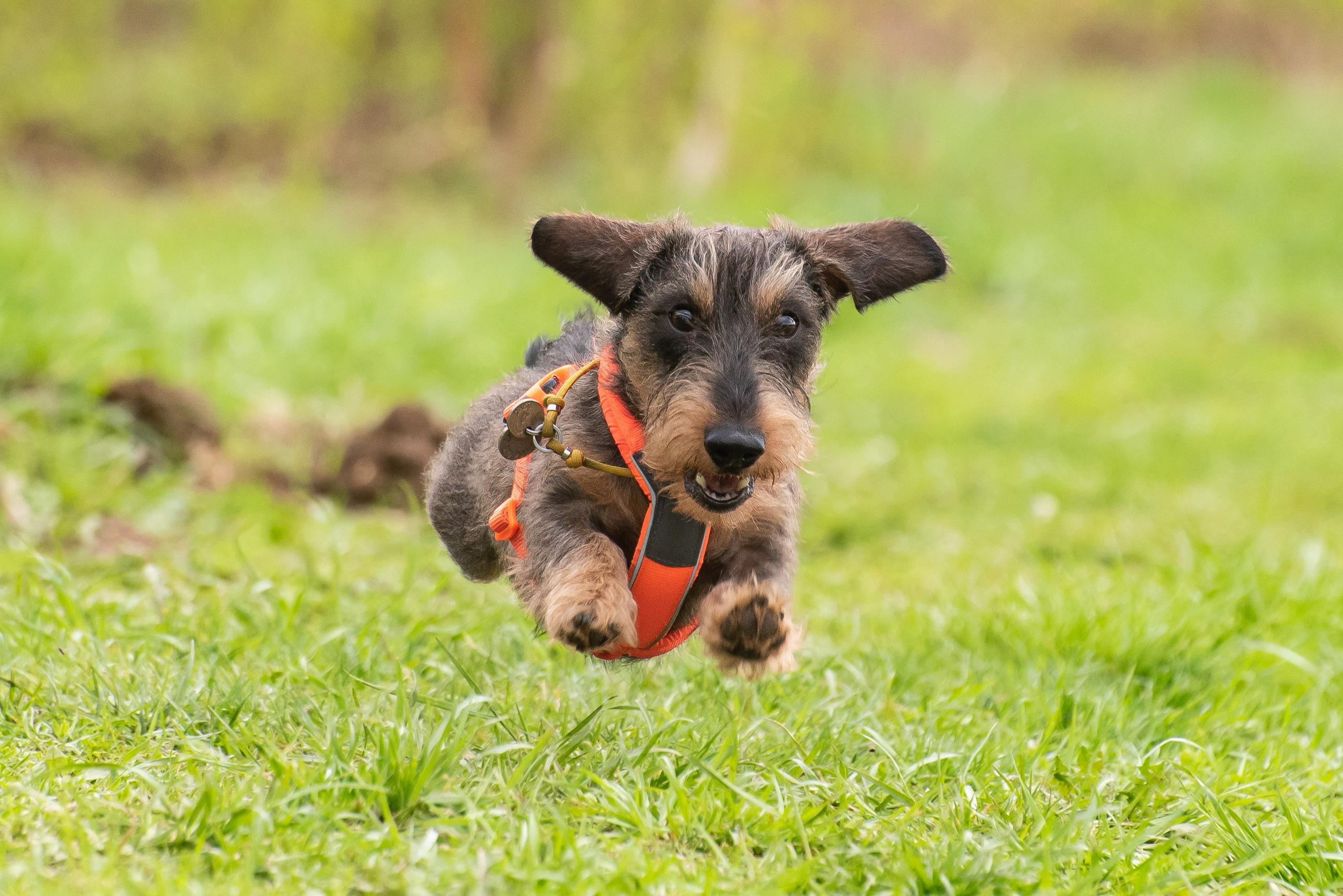Фотографии с Курсинга. Фотограф Макс Огурцов в Нижнем Новгороде