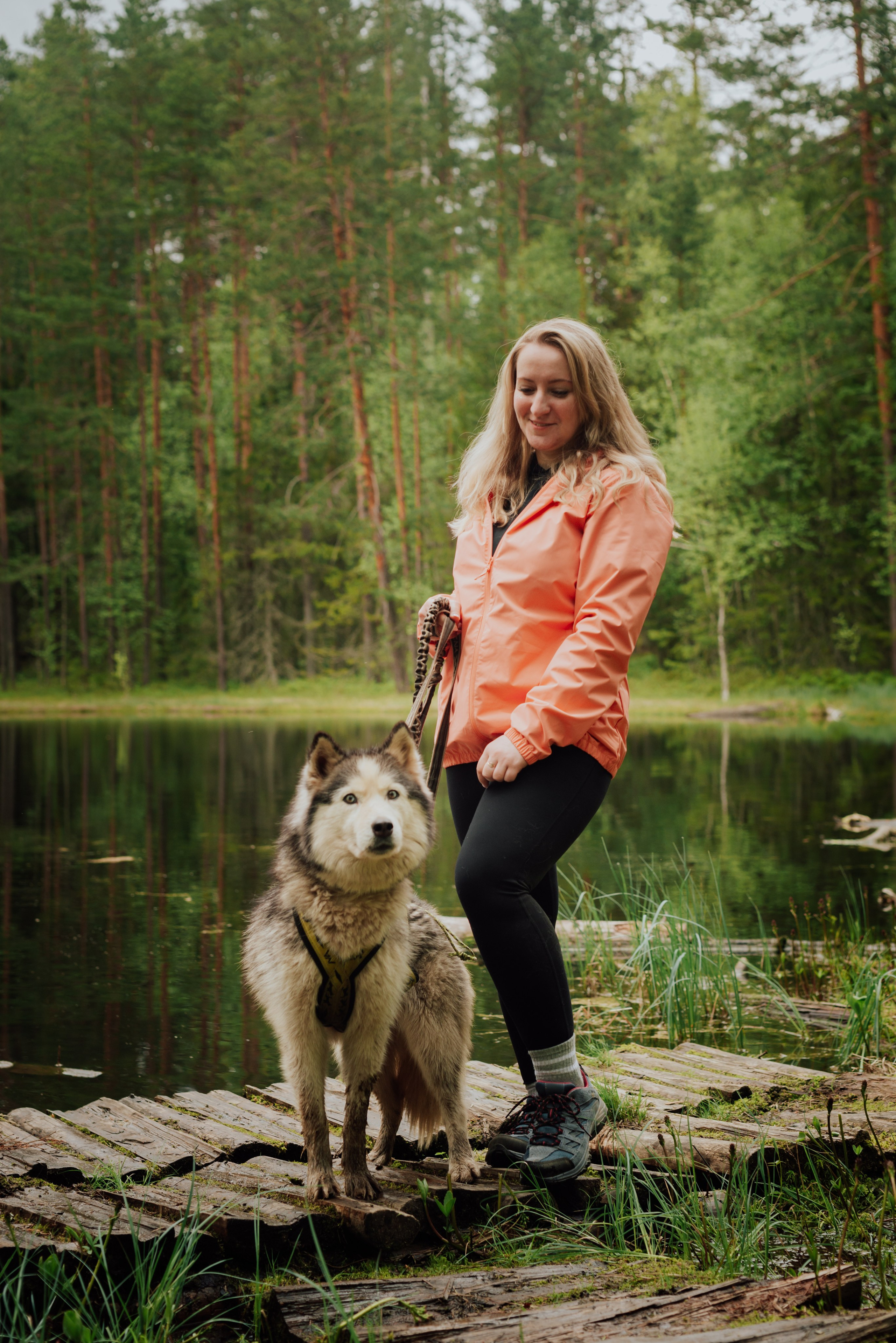 Догтрекинг. Фотограф в Санкт-Петербурге и Ленинградской области