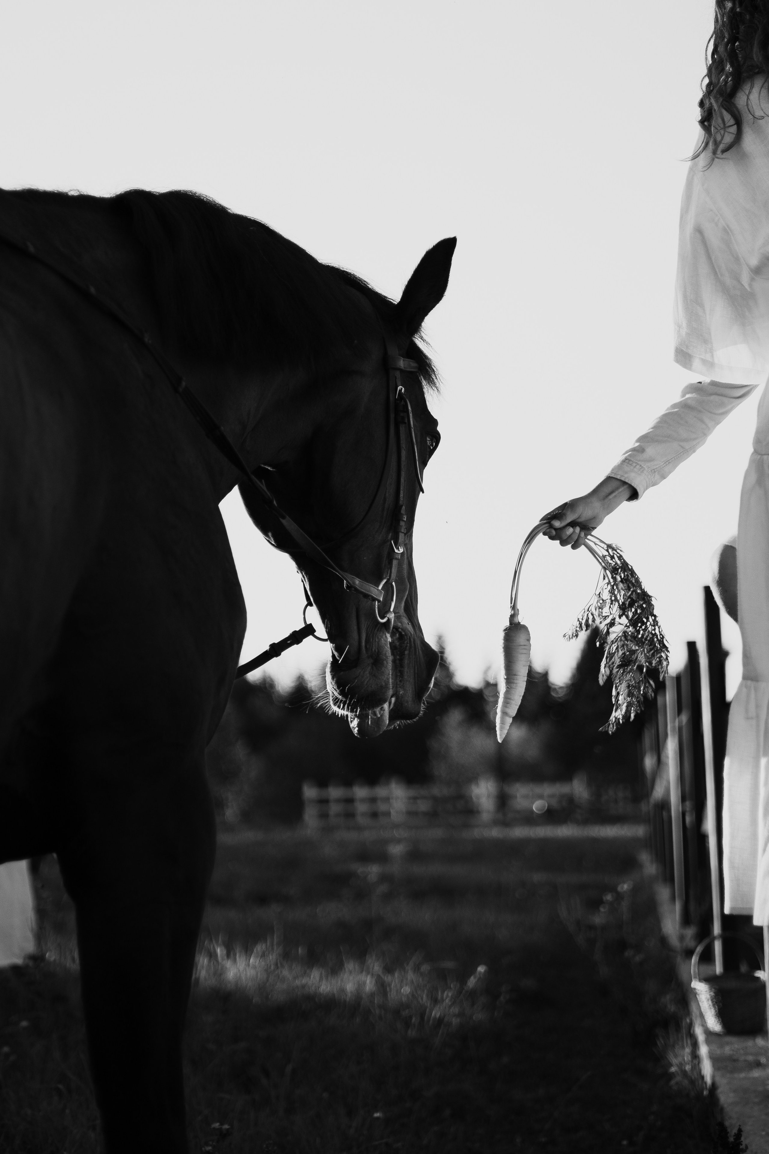 Летние сказки. Варвара Синицына: семейный фотограф в Москве