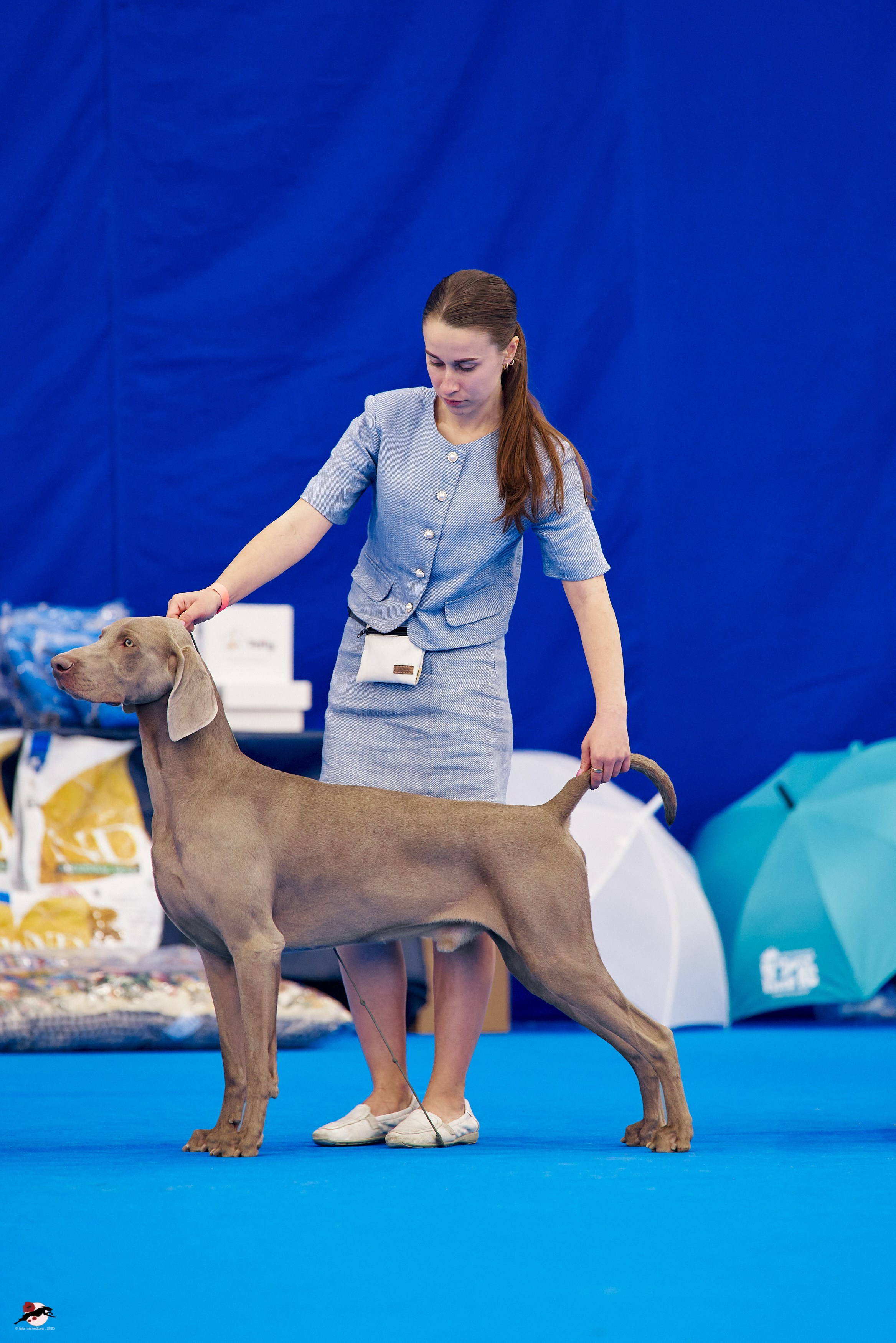 27.04.2025 | "Петербург-Элита 2025" & «КУБОК «ЭЛИТЫ»-2025»