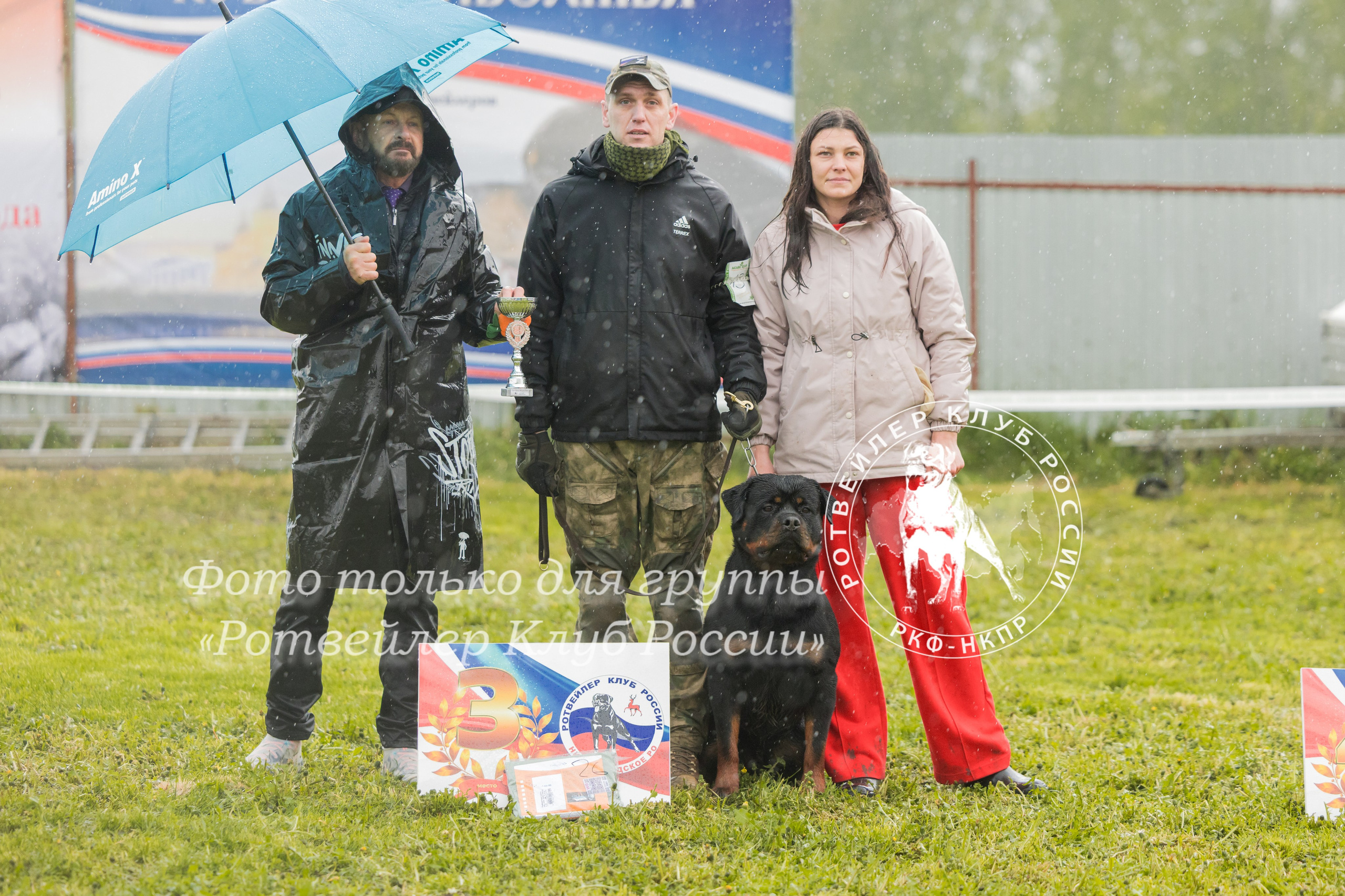 Нижний Новгород 2хмоно ротвейлеров 10-11.05.2025. Фотограф-анималист Юлия Германика