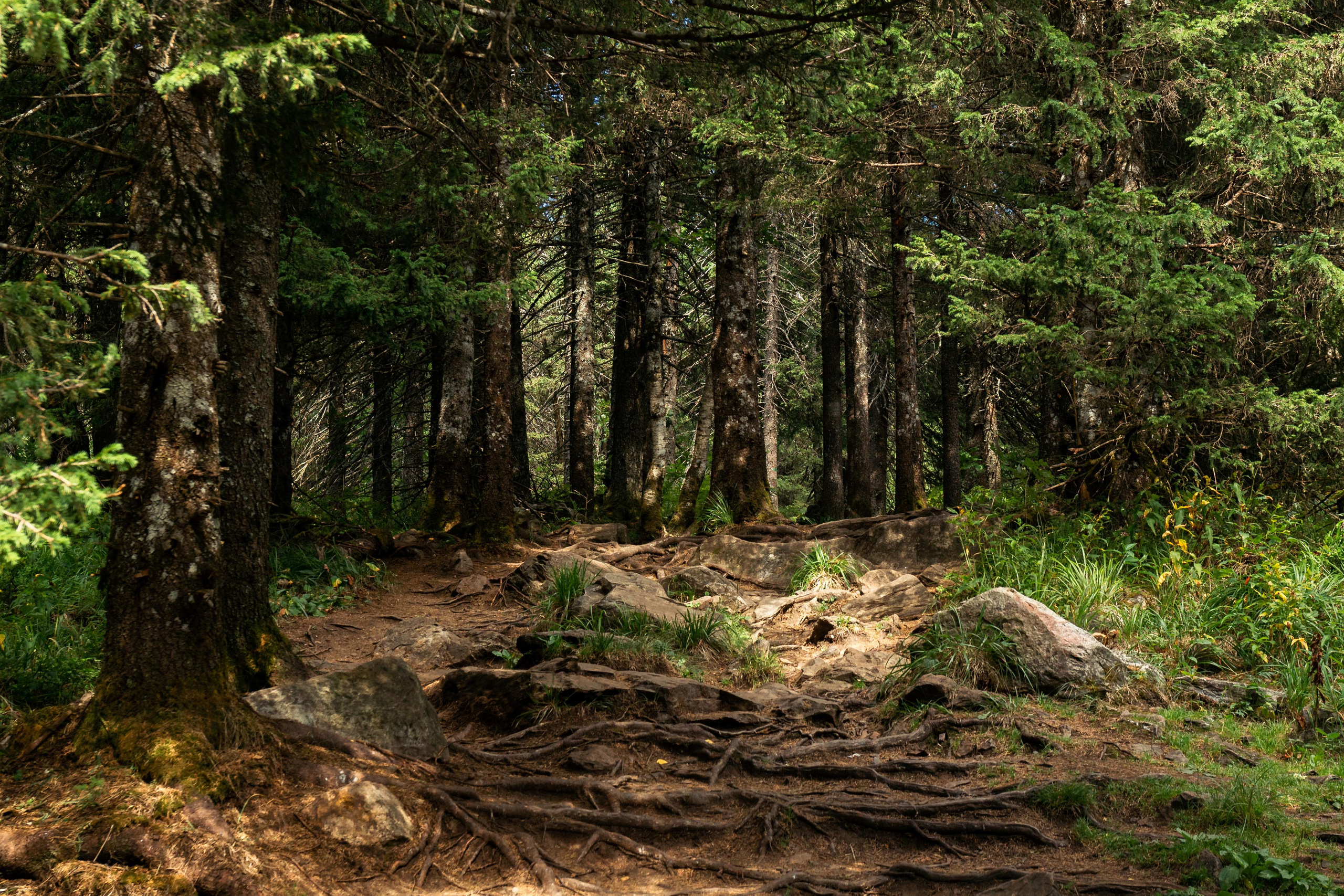 Портфолио – пейзажи и трэвел. A.Baydakov • Travel Photographer 📸