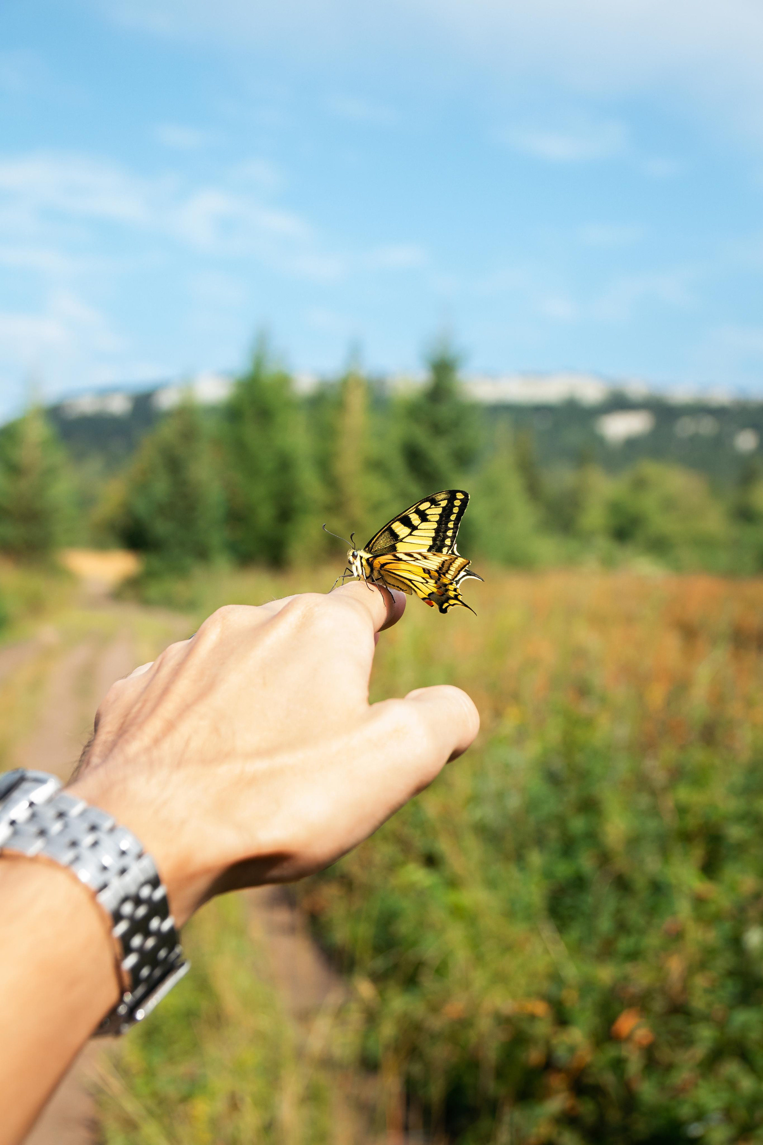 Портфолио – пейзажи и трэвел. A.Baydakov • Travel Photographer 📸