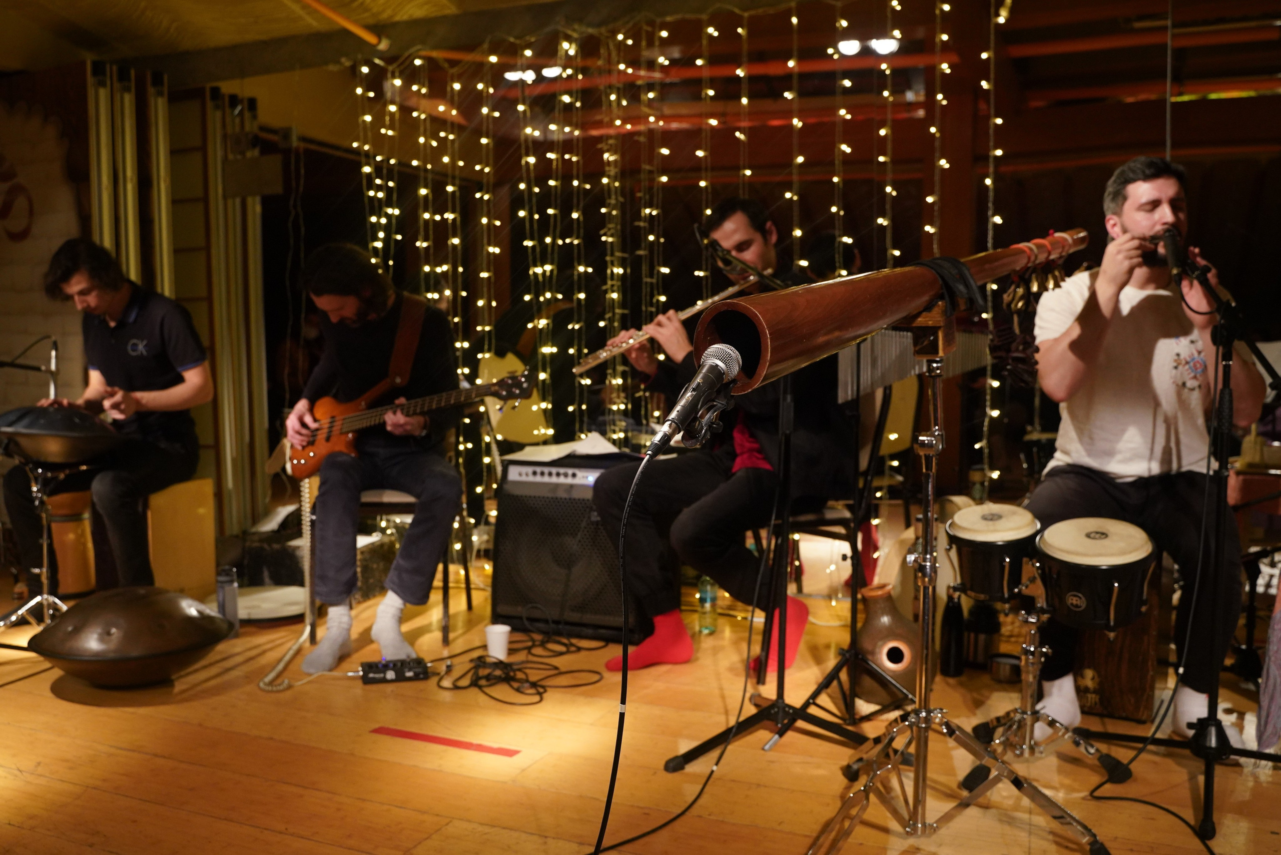 Концерт Forest jam project. Портретный и репортажный фотограф Наталья Горобец