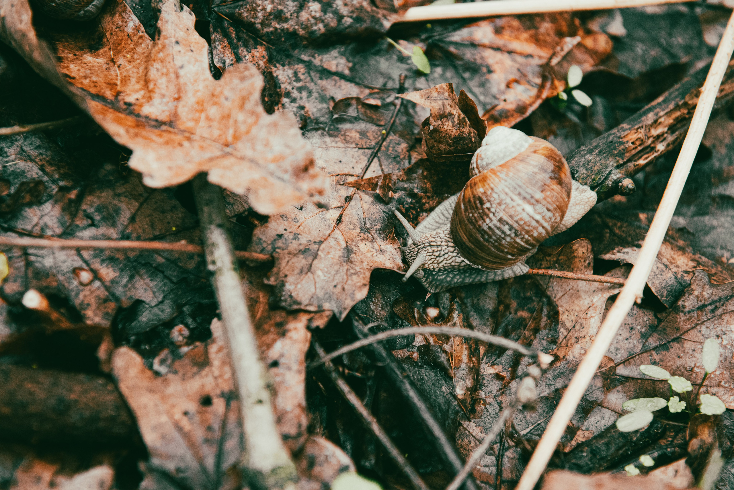 Текстуры апреля. Портретный и архитектурный фотограф в Москве и Санкт-Петербурге