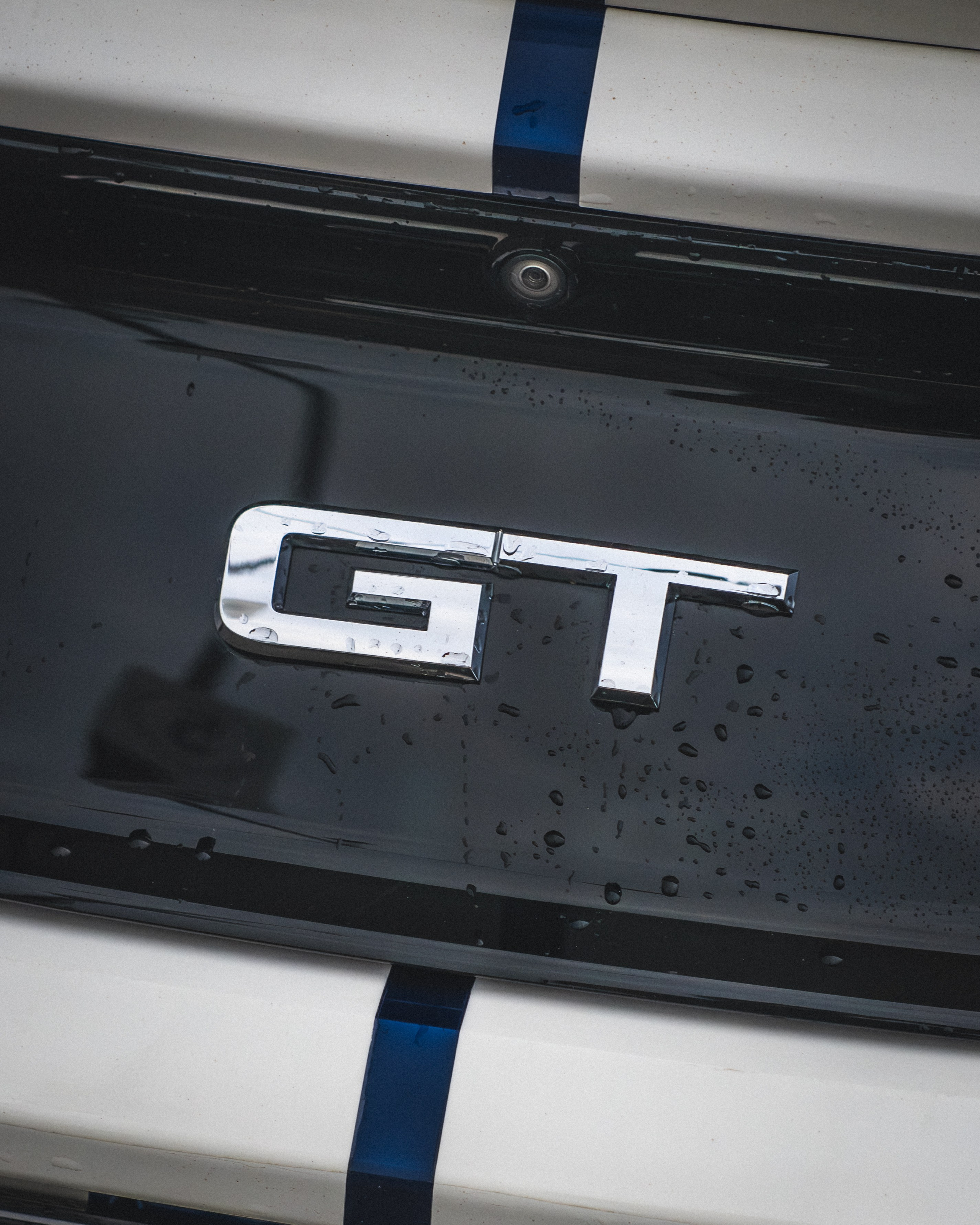 SHELBY GT500. Автомобильный фотограф в Москве