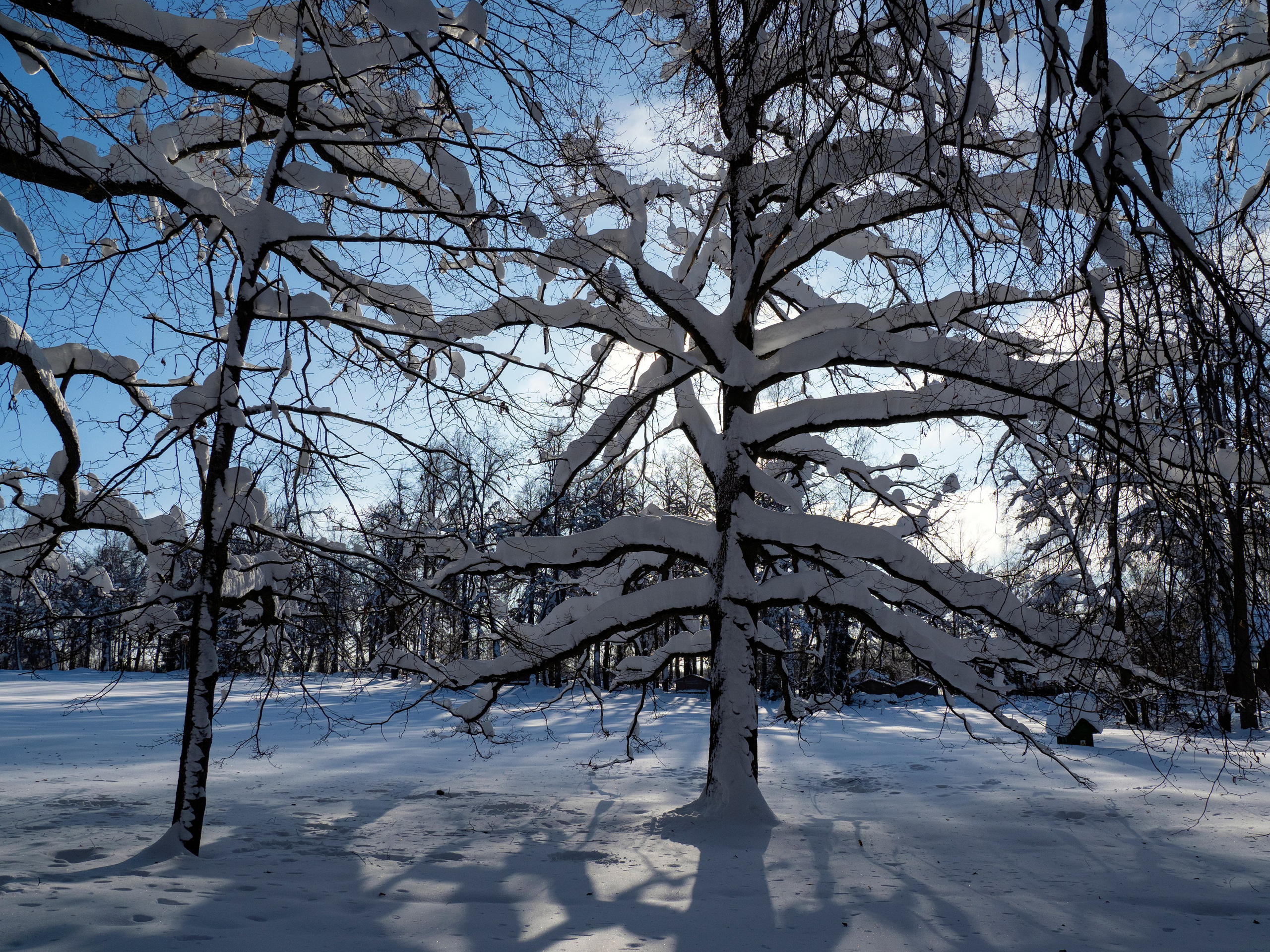 Абрамцево. Главная
