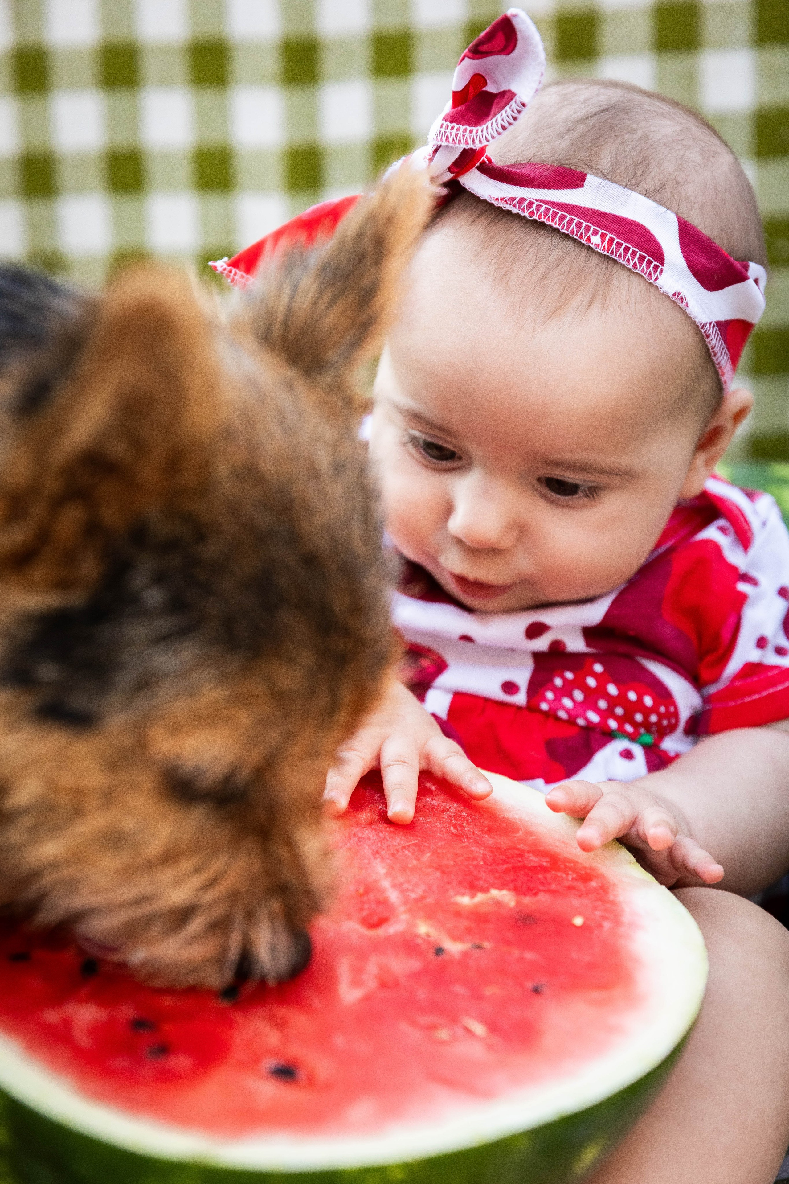 Анютка и арбузы. Фотограф-АниМалист Анна Абрамова