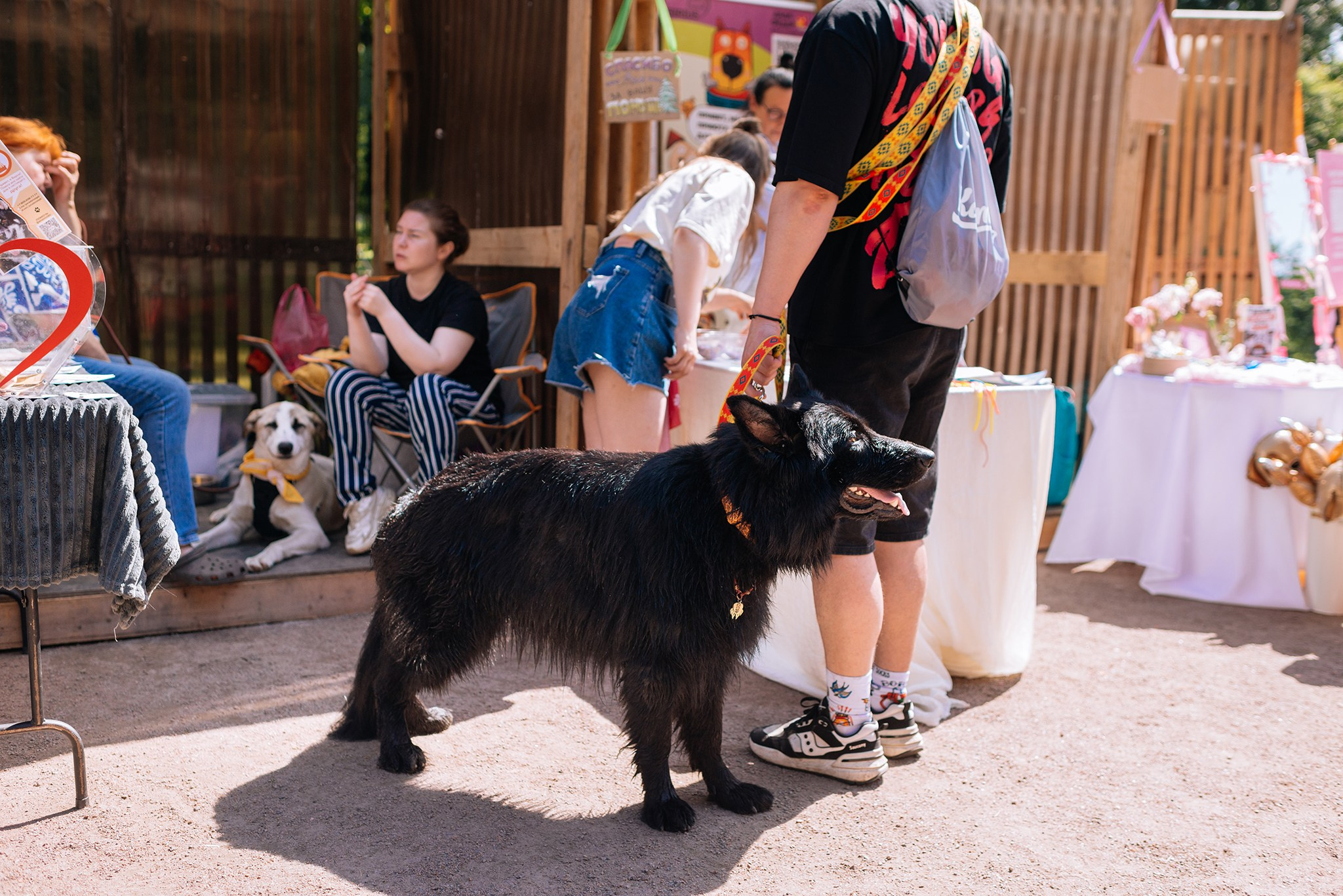 PETSHOP DAYS. Июнь 26. Репортажный фотограф в Санкт-Петербурге Анастасия Клёпова