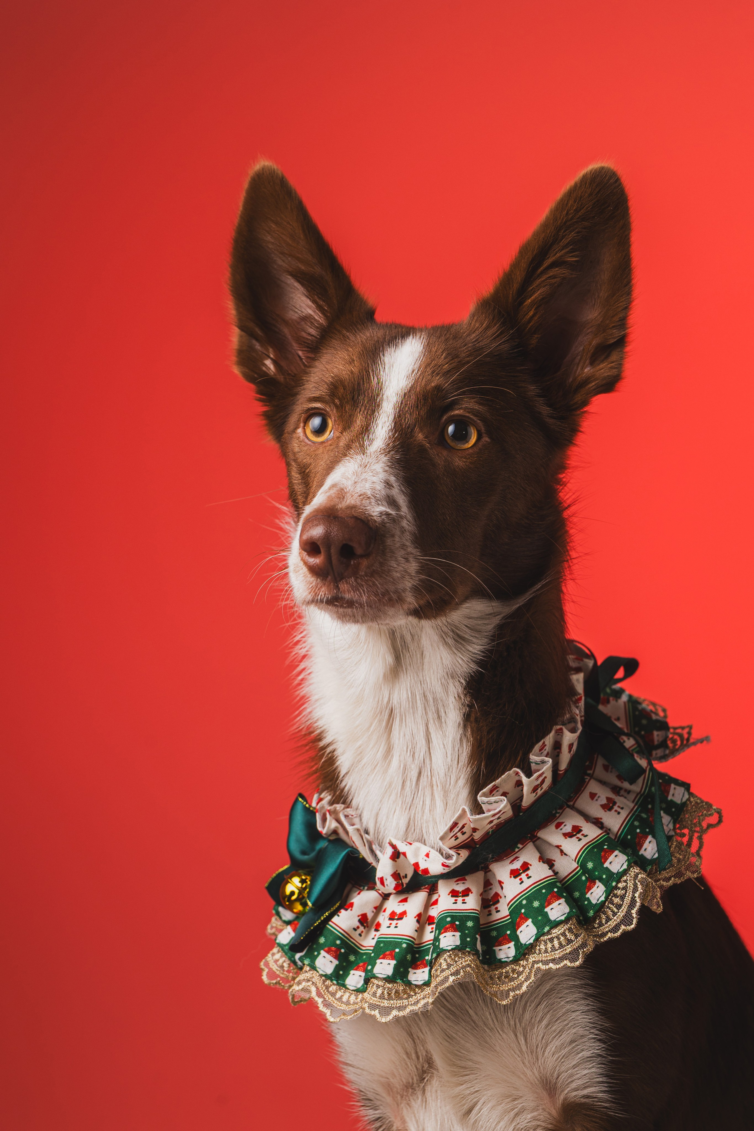 Воркшоп по импульсному свету